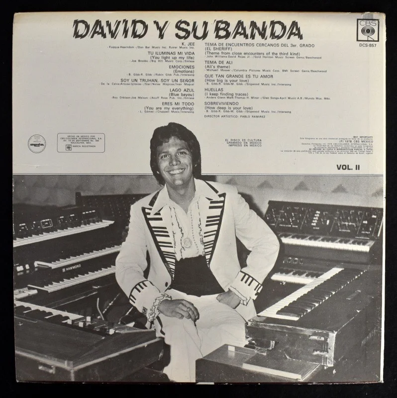 David Y Su Banda Electronica - Vol. II [LP], image 4