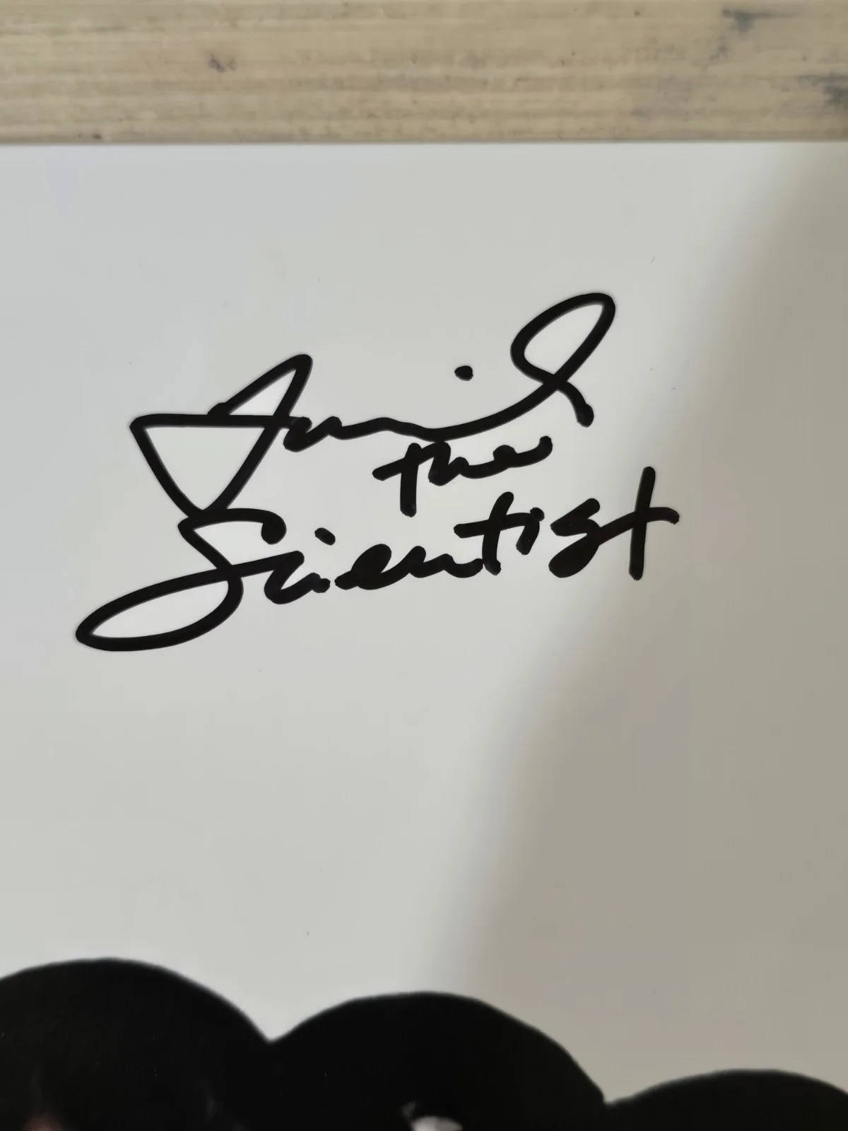 MARIAH THE SCIENTIST SIGNED AUTOGRAPHED VINYL ALBUM LP JSA TO BE EATEN ALIVE, изображение 2