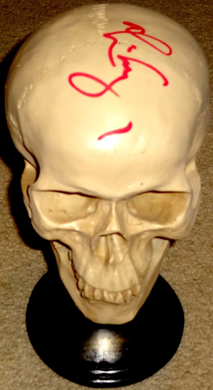 ALICE COOPER HAND SIGNED AUTOGRAPHED SKELETON SKULL! SCHOOLS OUT! RARE W/ PROOF!, изображение 3