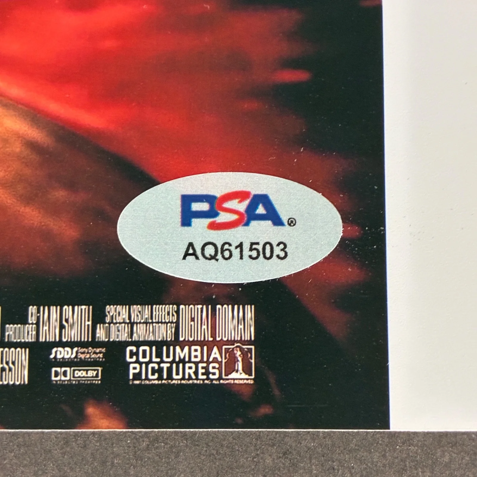 Luc Besson, Milla Jovovich — MILLA JOVOVICH LUC BESSON SIGNED 8x10 PHOTO PSA DNA THE FIFTH ELEMENT CAST, изображение 2