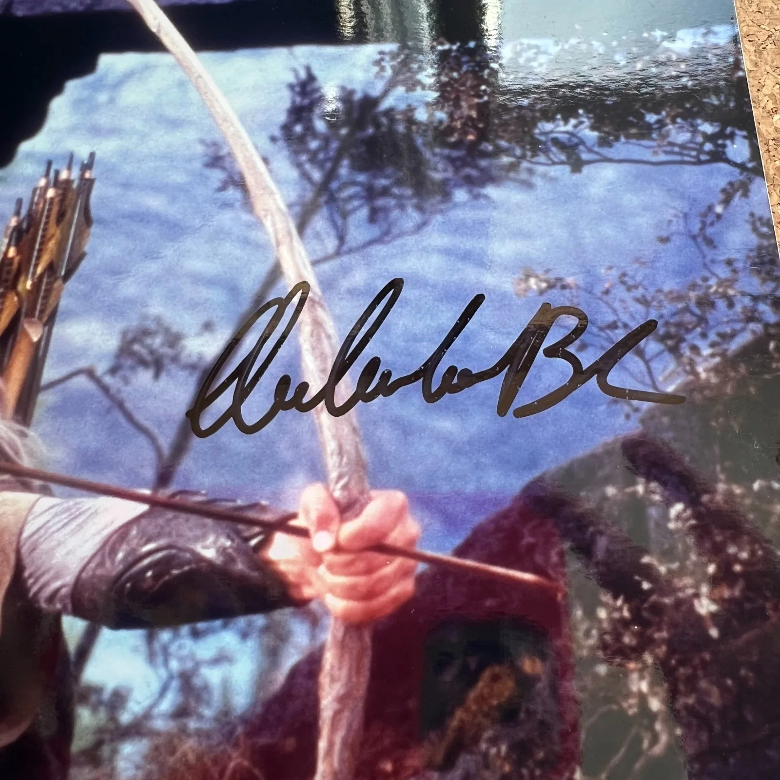 Orlando Bloom — Orlando Bloom Legolas Autographed 8x10 Photograph with COA, image 4
