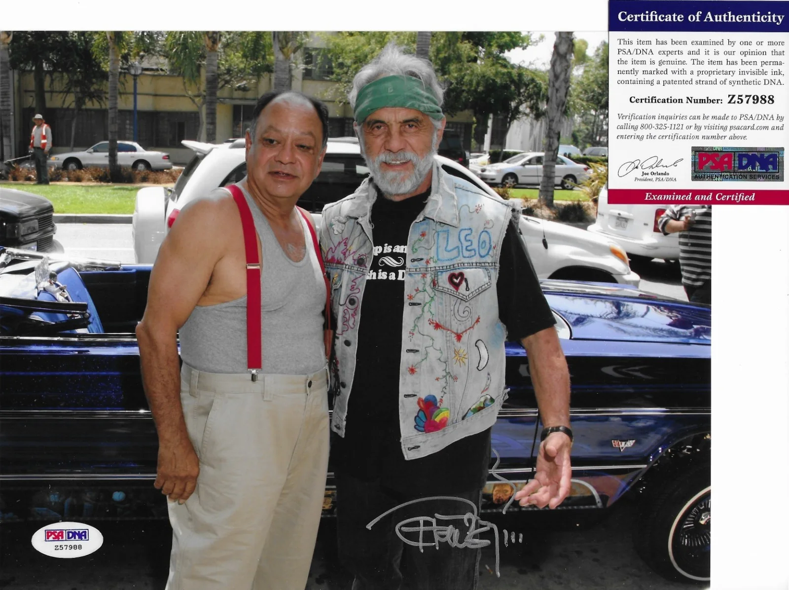 Tommy Chong — Tommy Chong PSA/DNA COA Signed 8x10 Photo Autographed Up in Smoke 88, image 2