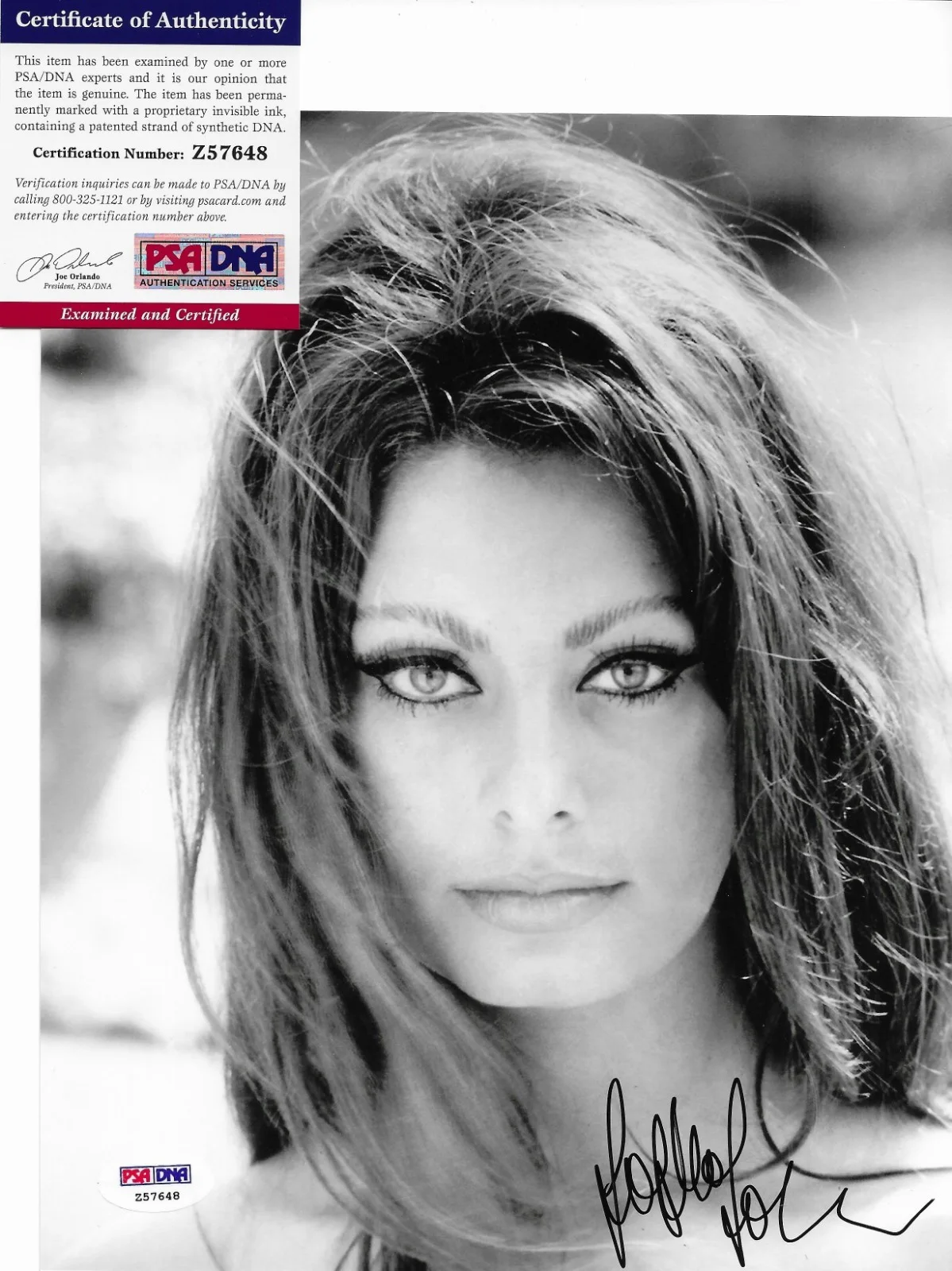 Sophia Loren — Sophia Loren PSA/DNA COA Signed 8x10 Photo Autographed Two Women Houseboat 48, изображение 2