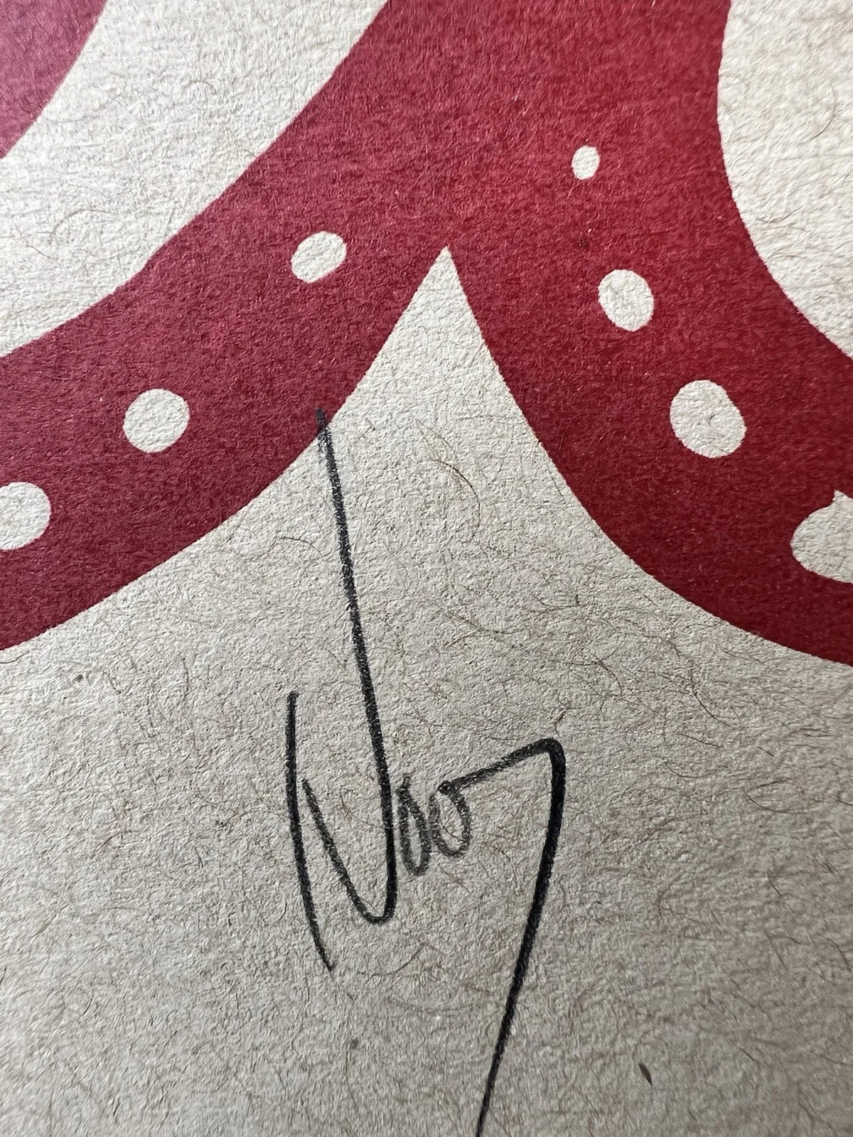 Tedeschi Trucks Band 2014 Tour Poster SIGNED Susan Tedeschi Derek Trucks 303/600, изображение 5