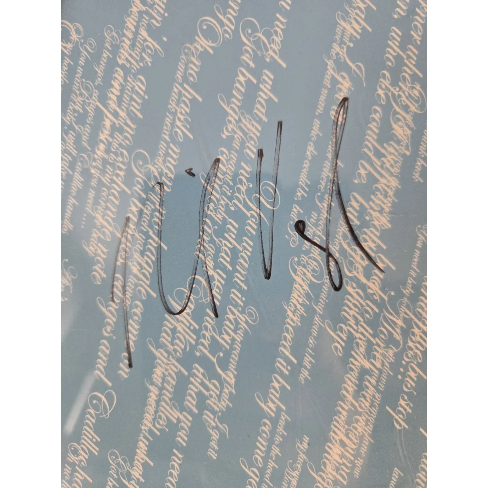 galactic Jazz band signed poster 5 member Signatures Robert Mercurio Jeff Raine, image 4
