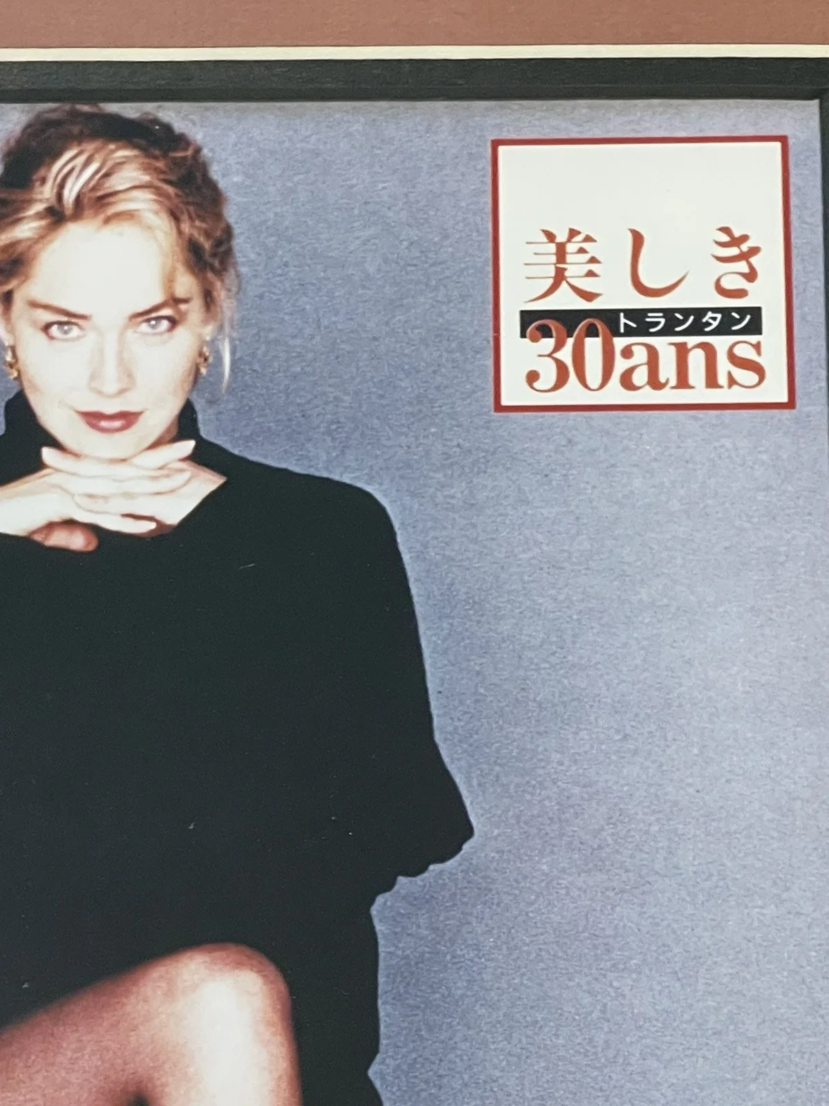 Rare Sharon Stone Autographed COA 8x10 w/ Custom Matted Frame w/ Japanese Label, изображение 5