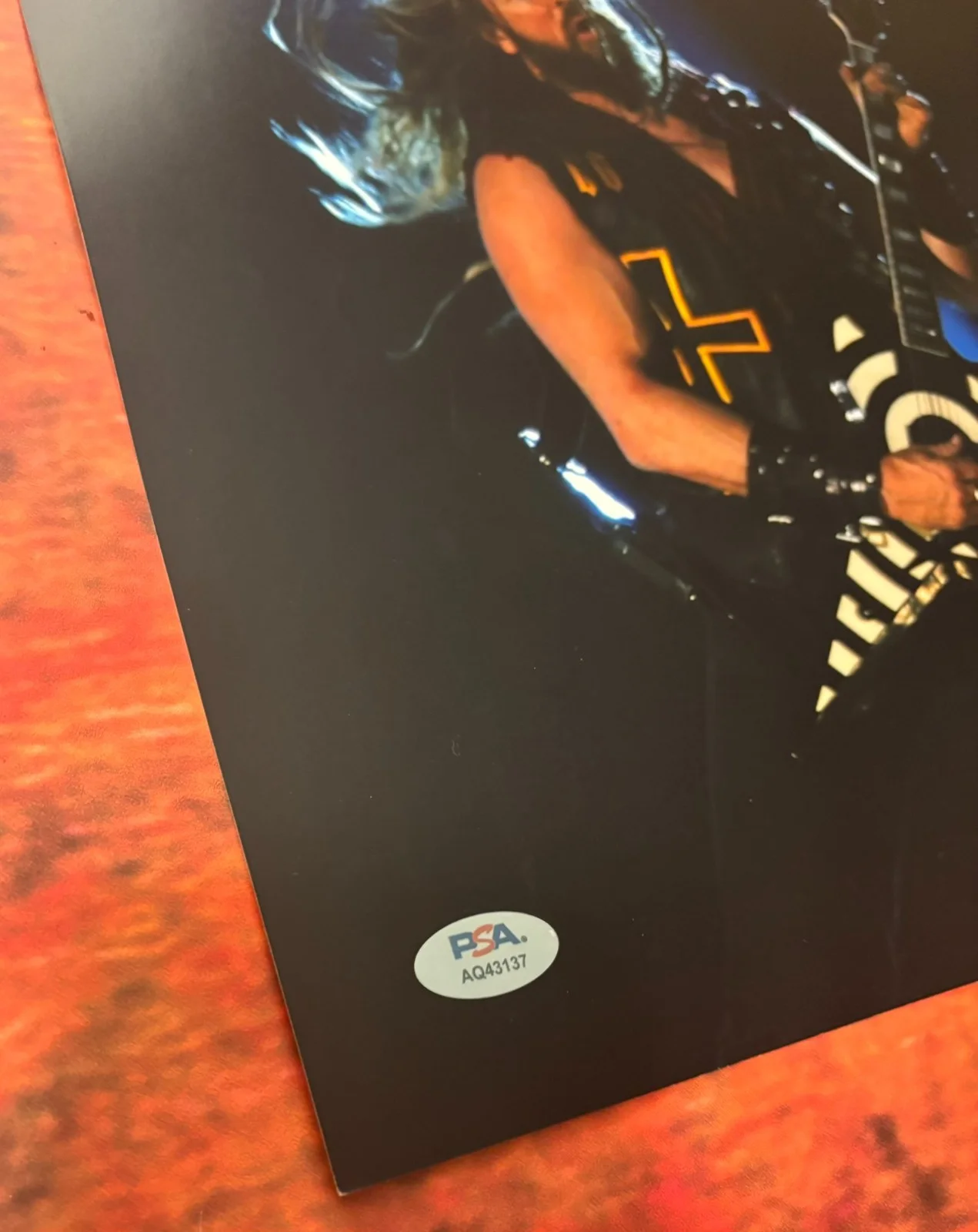 PSA Black Label Society * ZAKK WYLDE * Signed 11x14 Photo COA, изображение 2