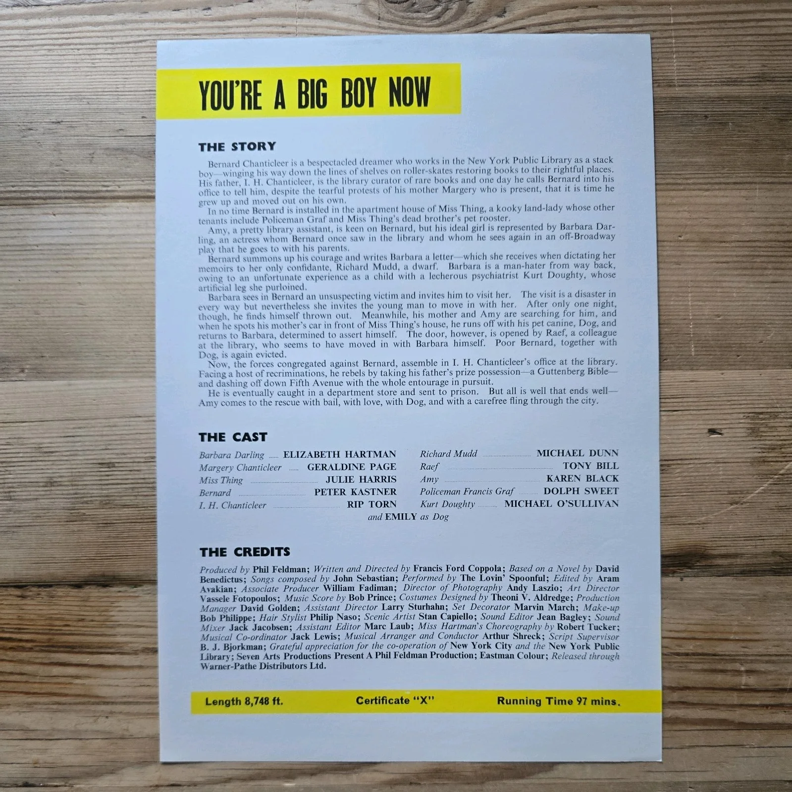 YOU'RE A BIG BOY NOW press sheet 1966 Elizabeth Hartman Geraldine Page, изображение 2