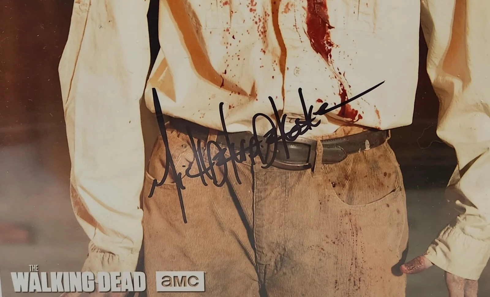 Walking Dead Zombie SIGNED Package w/ Daryl Dixon Photos & Plastic Top Loaders, image 2