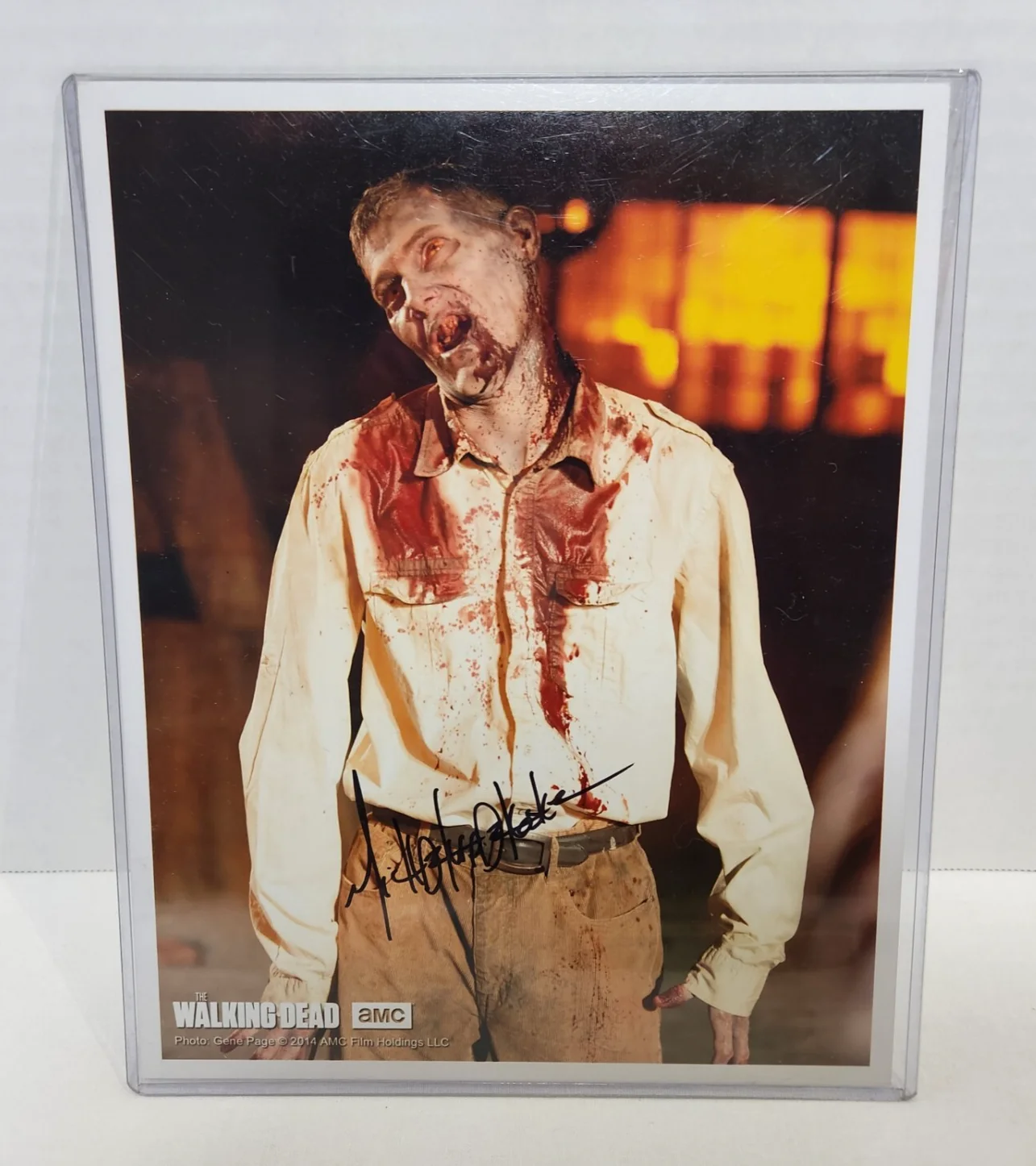 Walking Dead Zombie SIGNED Package w/ Daryl Dixon Photos & Plastic Top Loaders, image 3