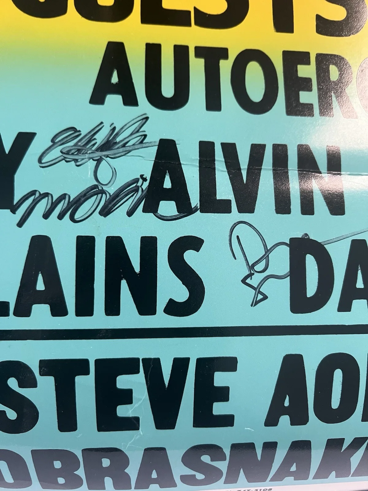 Rare Signed DIM MAK 15th Ann Poster Steve Aoki Felix Cartal COLBY POSTER CO EDM, изображение 4