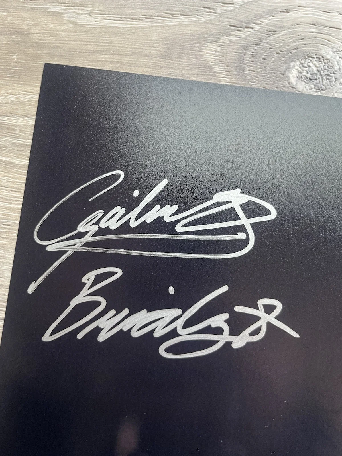 Gabrielle Echols — Gabrielle Echols Signed Evil Dead Rise 8x10 Photo JSA COA Horror Autograph, image 4