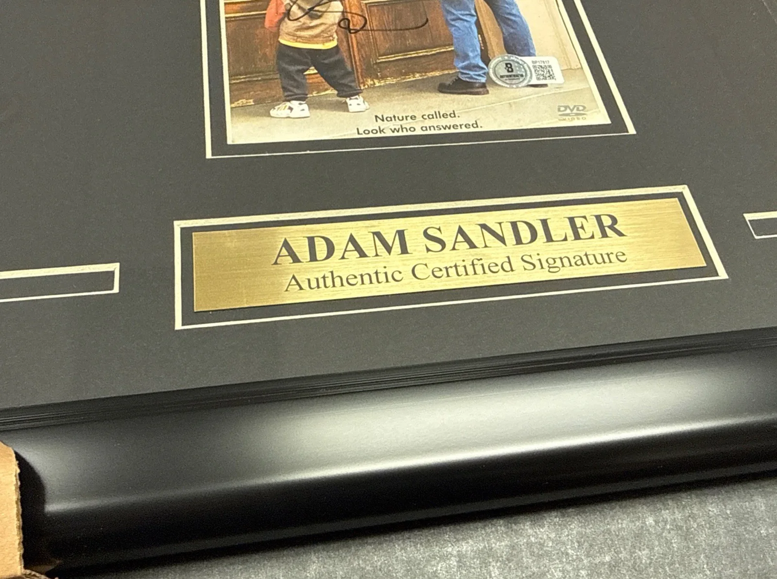 Adam Sandler Big Daddy Autographed DVD W 8x10 Photo Framed Beckett Bas Authentic, изображение 2