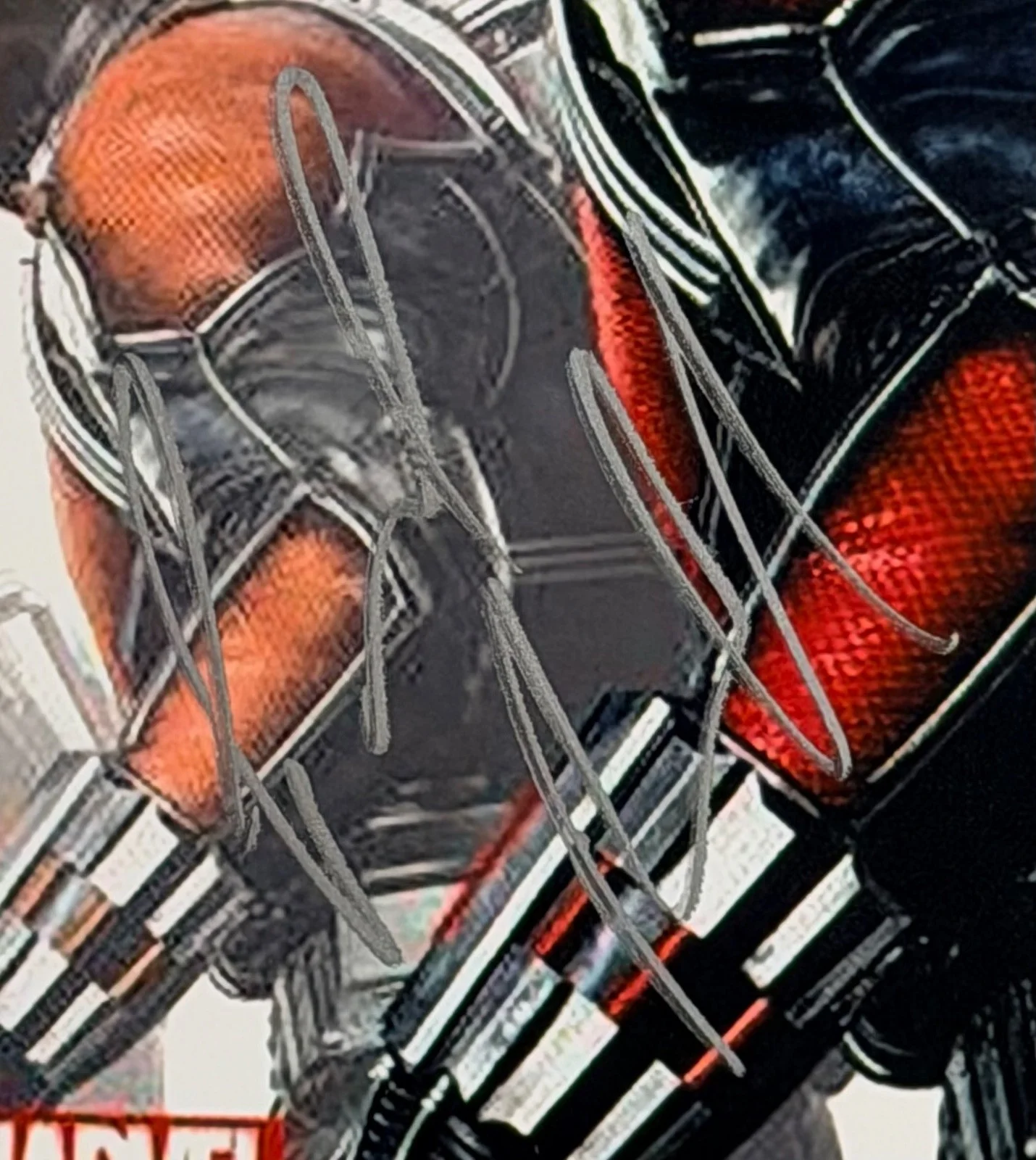 Paul Rudd — Paul Rudd Signed 8x10 Photo Ant-Man Marvel Autograph w/ COA, image 2