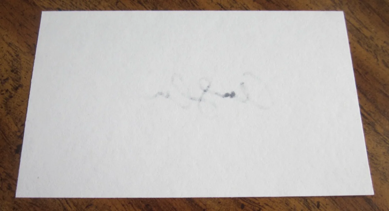 Amanda Seyfried — Amanda Seyfried Actress Autographed 3X5 Index Card "Mean Girls" Karen Smith, изображение 2