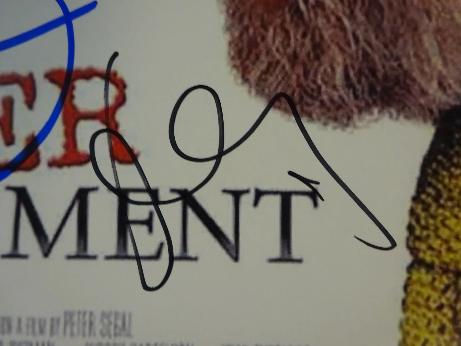 Adam Sandler, Marisa Tomei, Jonathan Loughran — Signed Anger Management Autographed By 3 11"x17" Photo Sandler + Beckett LOA COA, изображение 5