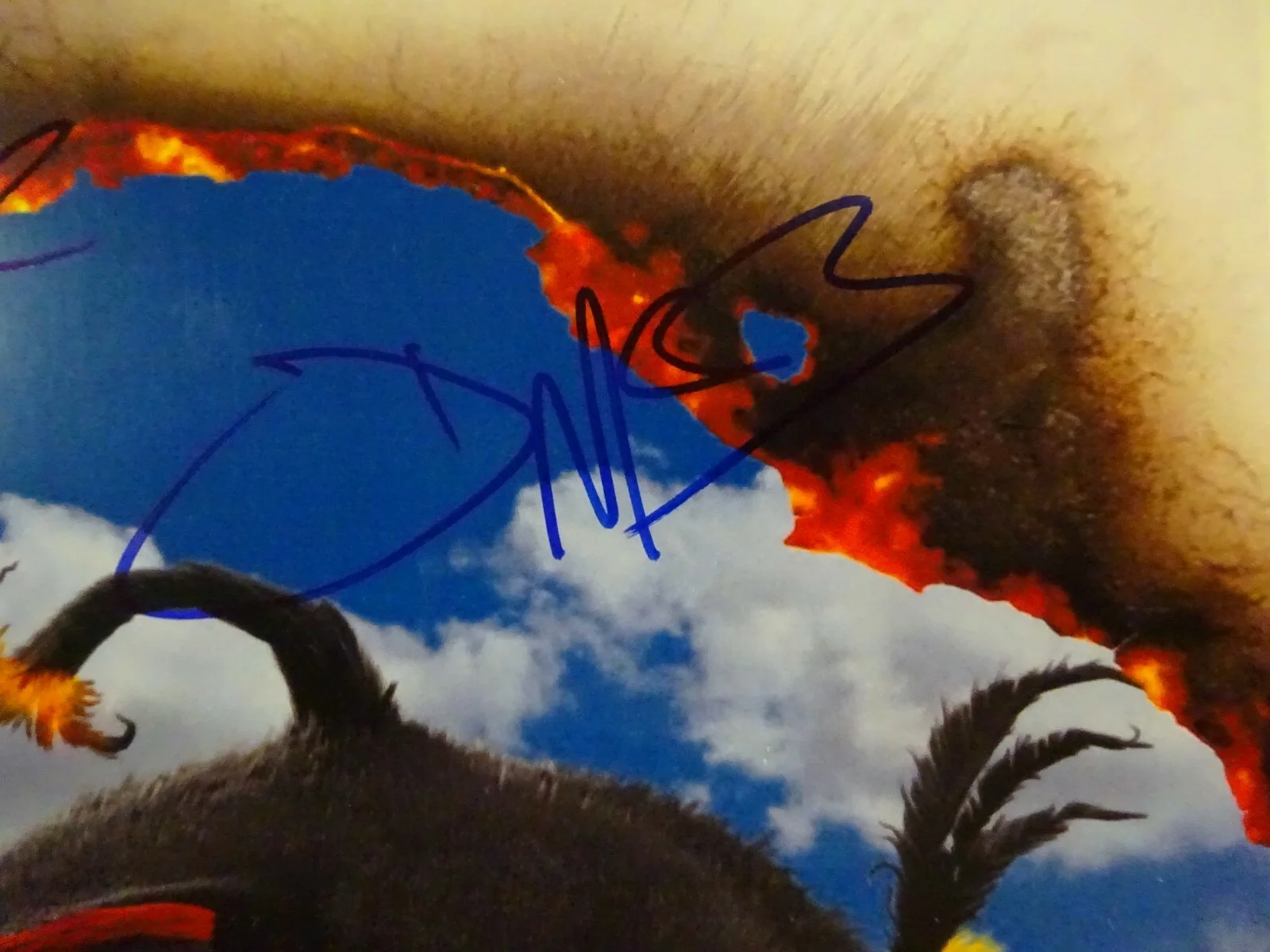 Autographed THE ANGRY BIRDS MOVIE Poster 11"x17" Signed by 5 BECKETT COA Gad ++, изображение 5
