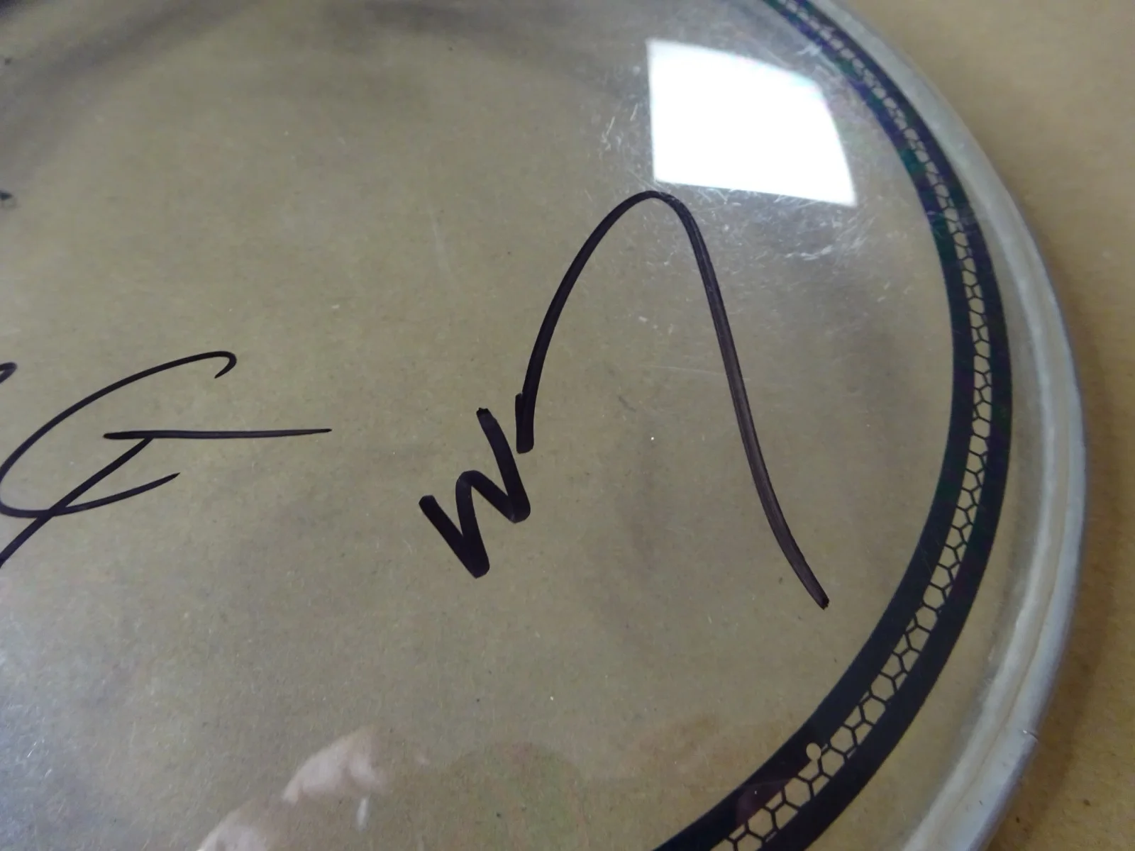 Signed The Lumineers Wesley Schultz & Jeremiah Fraites 8" Drum Head BAS COA, image 4