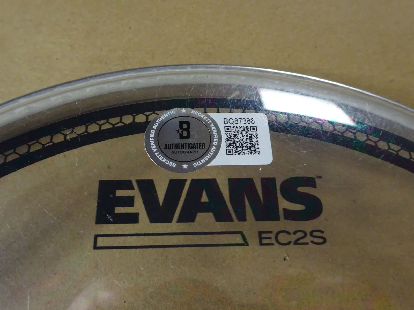 Signed The Lumineers Wesley Schultz & Jeremiah Fraites 8" Drum Head BAS COA, image 5