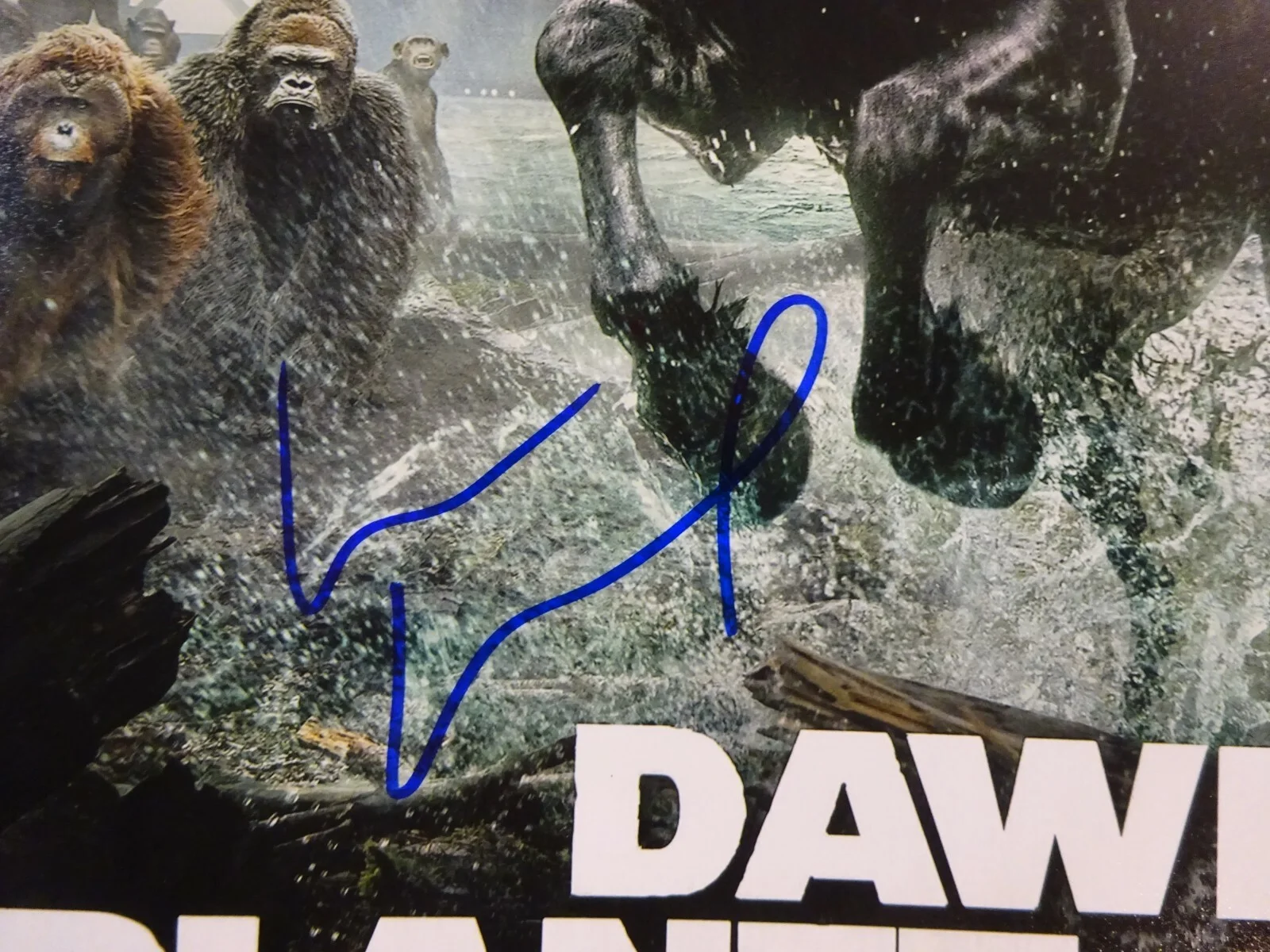 Keri Russell — Signed KERI RUSSELL - DAWN OF THE PLANET OF THE APES 12x18 Photo BECKETT BAS COA, изображение 3