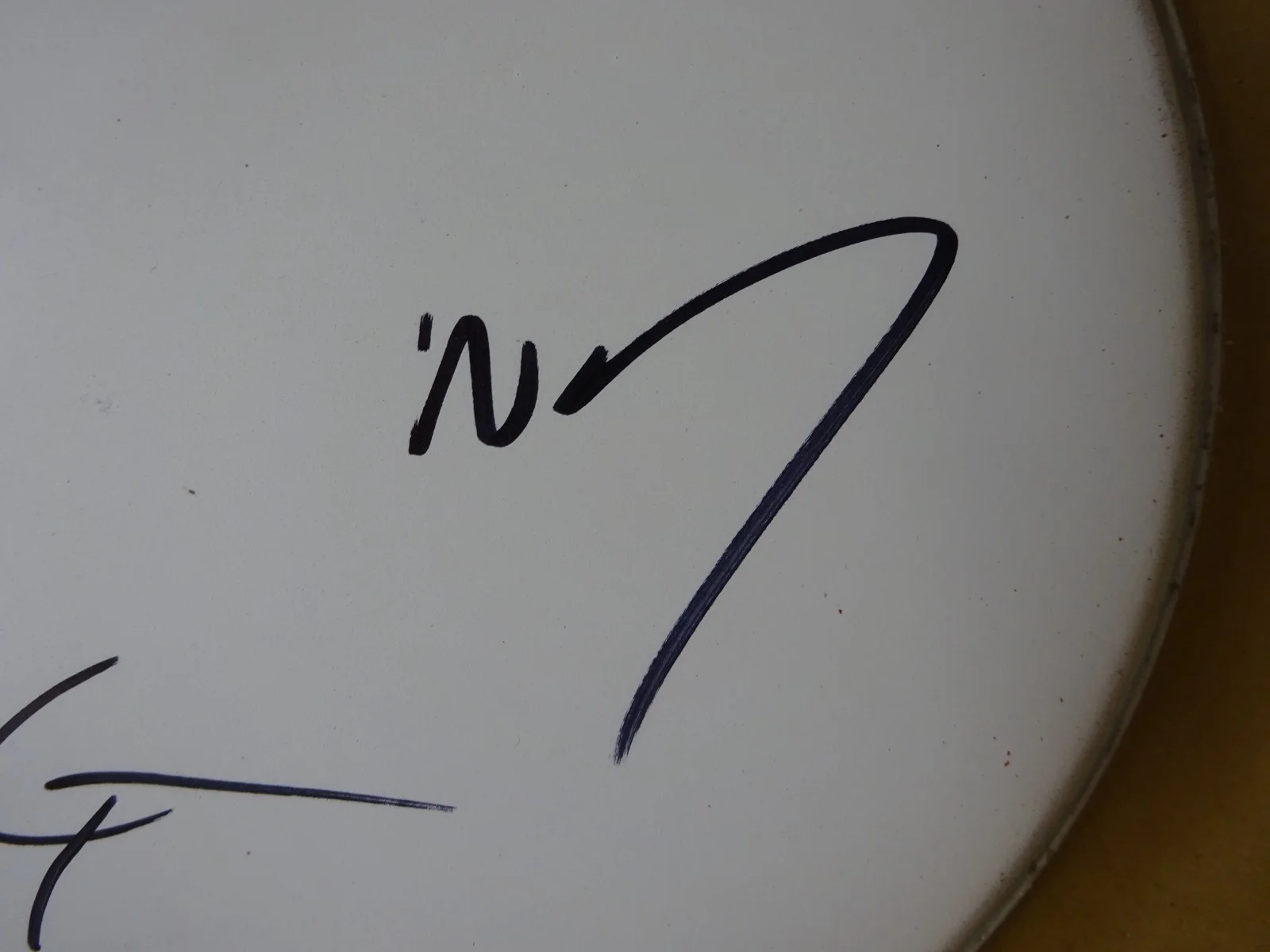 Signed The Lumineers Wesley Schultz & Jeremiah Fraites 8" Drum Head BAS COA, image 3