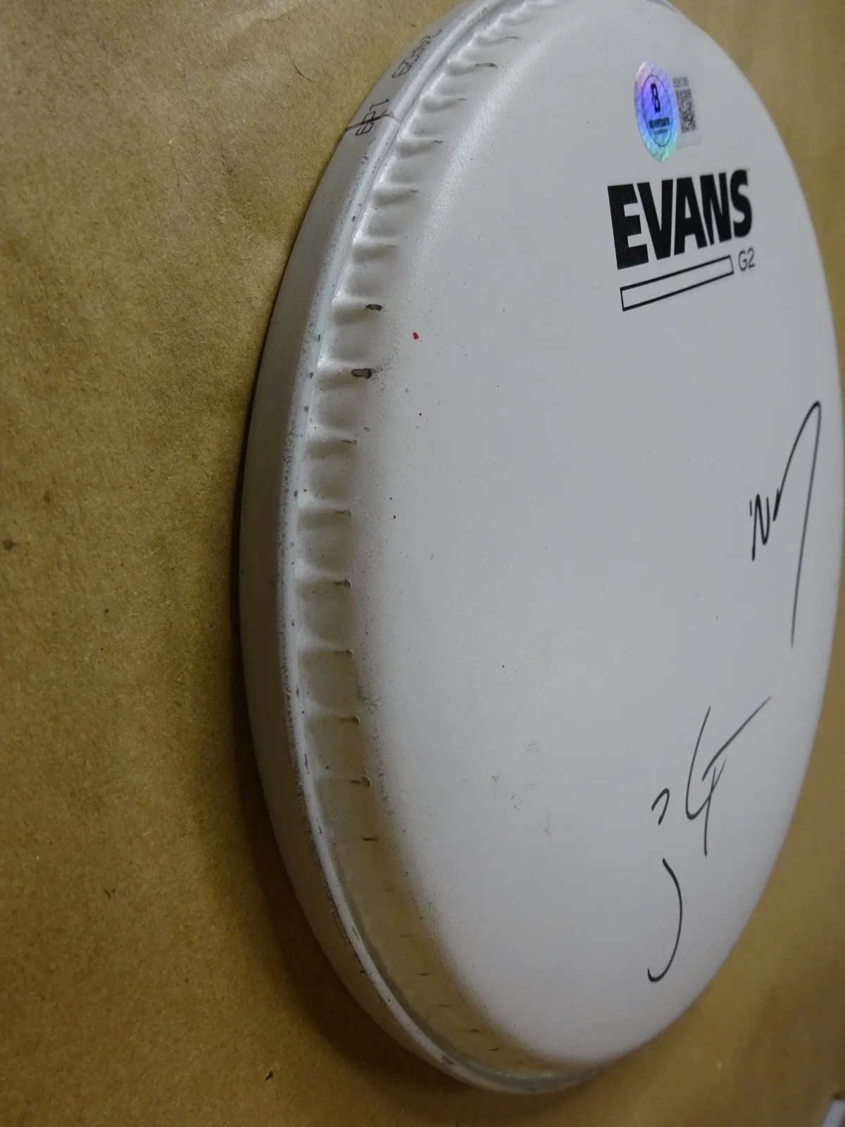 Signed The Lumineers Wesley Schultz & Jeremiah Fraites 8" Drum Head BAS COA, image 5
