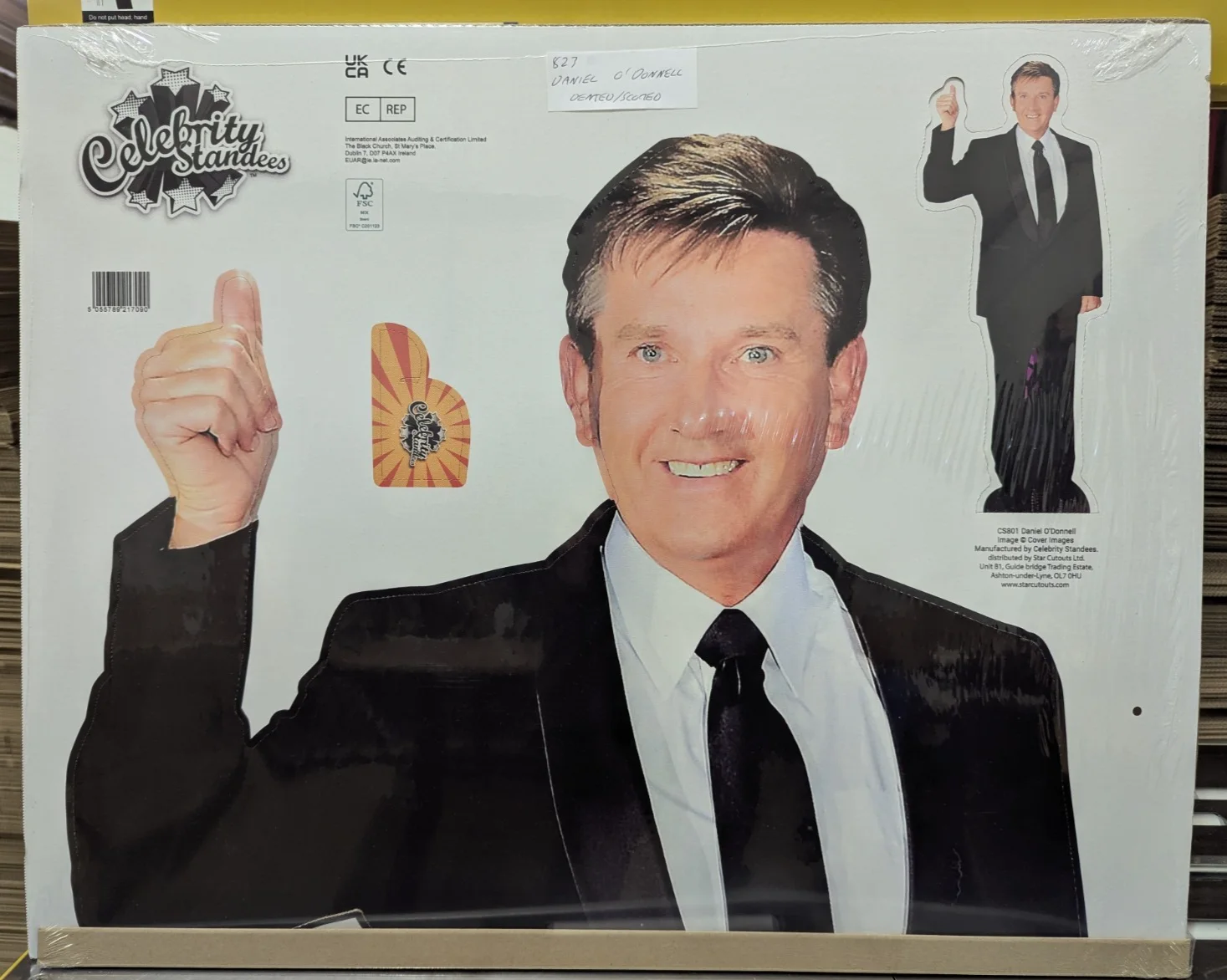 Daniel O'Donnell Irish Singer Cardboard Cutout / Standee 179cm x 72cm *Damaged*, image 2