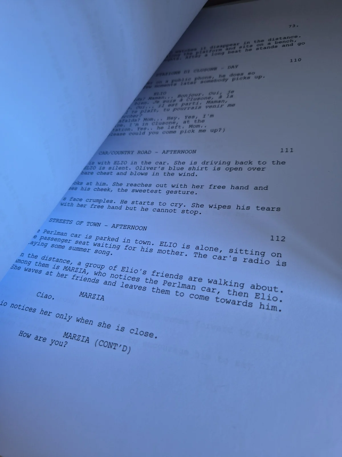 Call Me By Your Name Script Screenplay, image 3