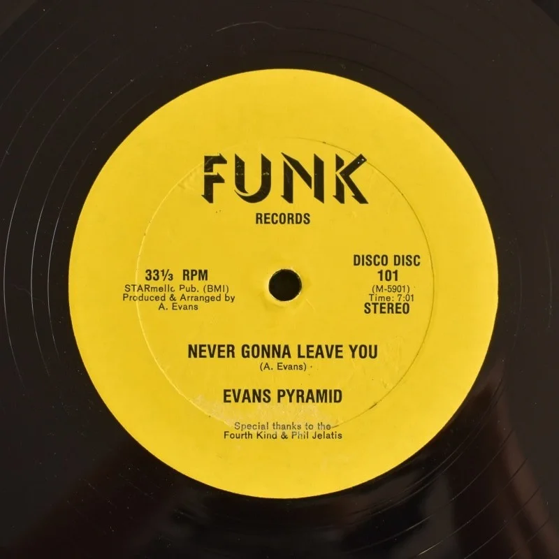 Evans Pyramid - Never Gonna Leave You / The Dip Drop (12" Single), image 2