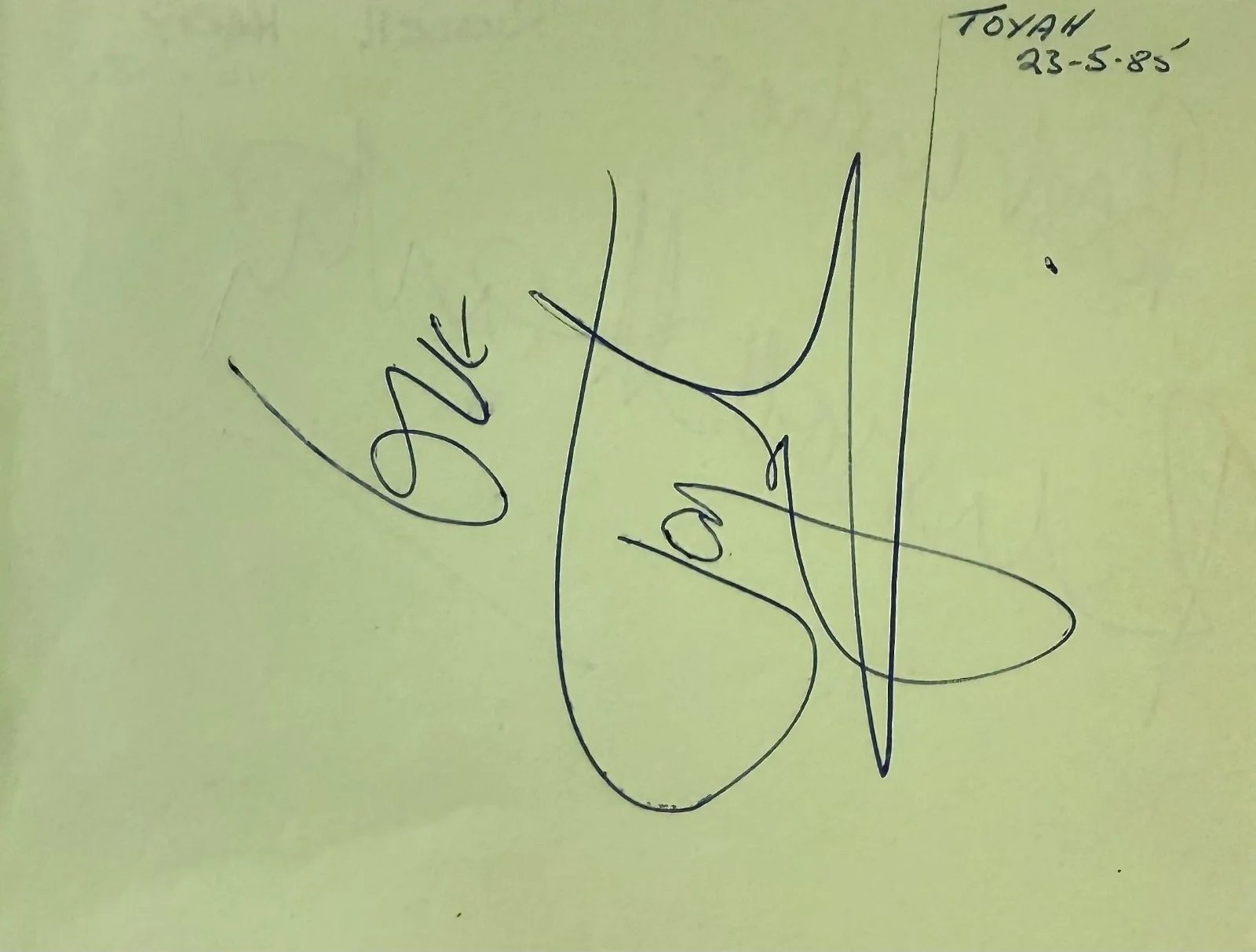 TOYAH WILLCOX & RUSSELL HARTY Dual Signed Autographed 4x5 ALBUM PAGE SINGER, изображение 3