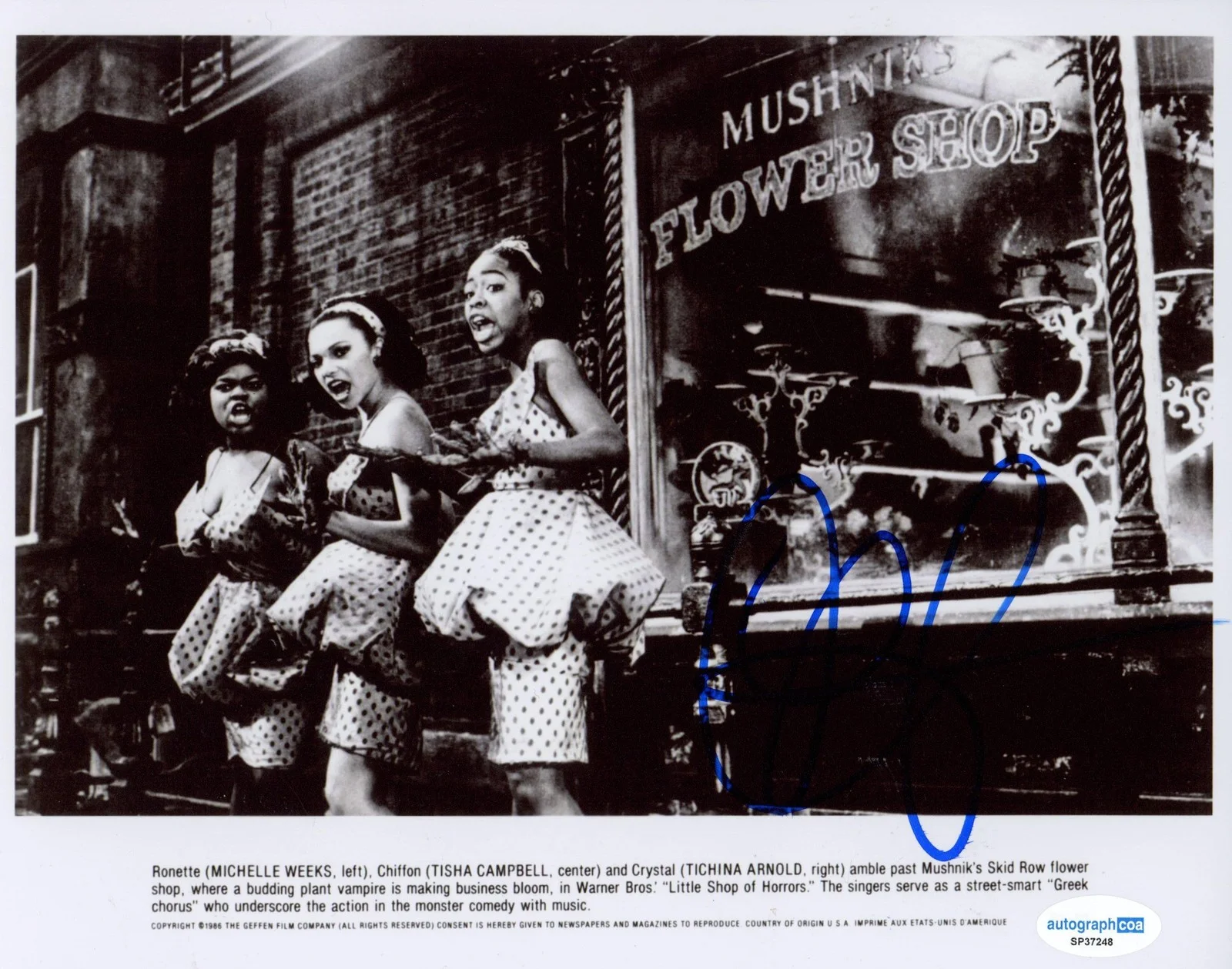 Tisha Campbell — Tisha Campbell "Little Shop of Horrors" AUTOGRAPH Signed Chiffon 8x10 Photo ACOA, изображение 2