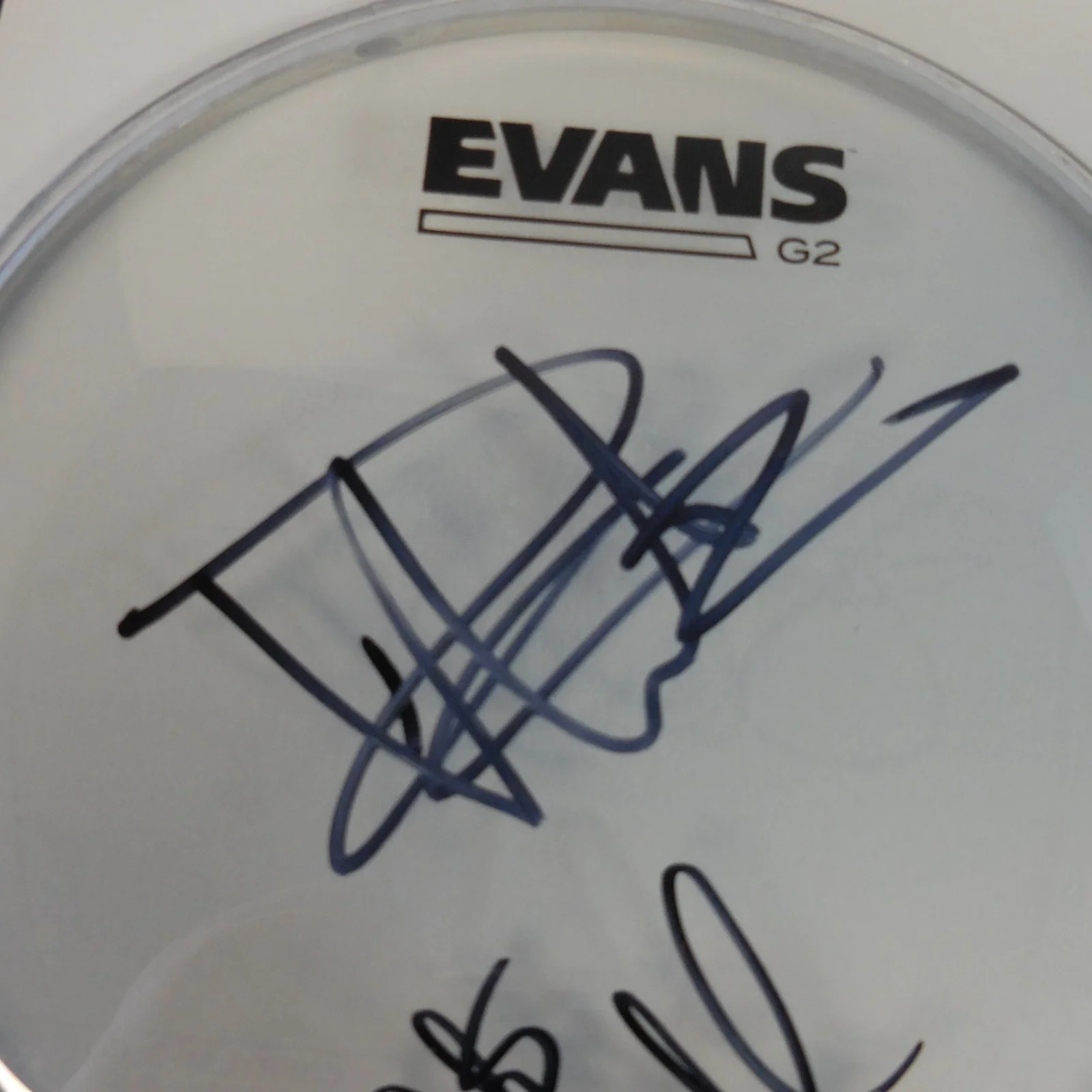 DAVE MATTHEWS & CARTER BEAUFORD AUTOGRAPHED 8" EVANS CLEAR DRUMHEAD JSA FULL LOA, image 2