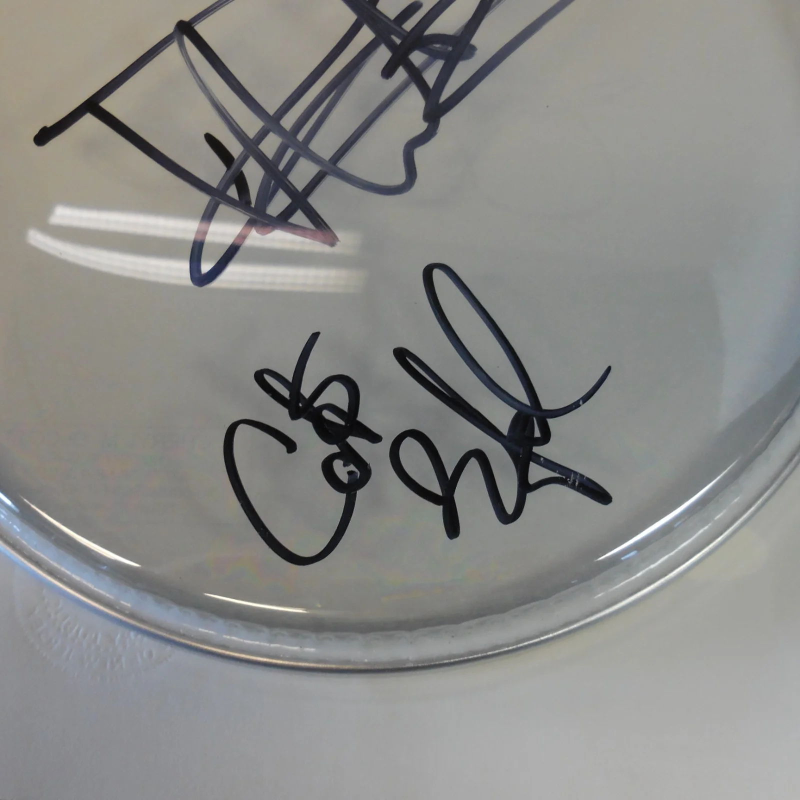 DAVE MATTHEWS & CARTER BEAUFORD AUTOGRAPHED 8" EVANS CLEAR DRUMHEAD JSA FULL LOA, image 3