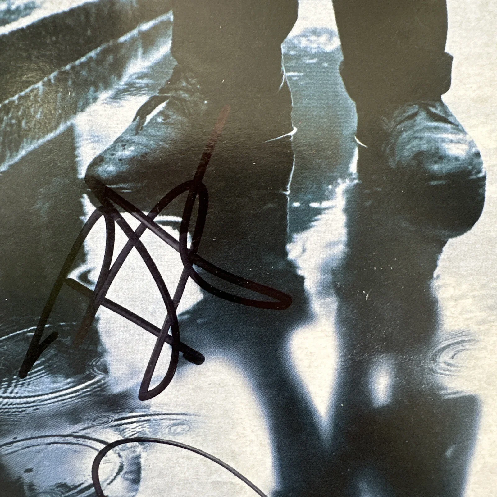 Julia Roberts, Bradley Cooper, Paul Rudd — Julia Roberts (2x) Bradley Cooper, Paul Rudd Signed Three Days Of Rain Playbill, изображение 4
