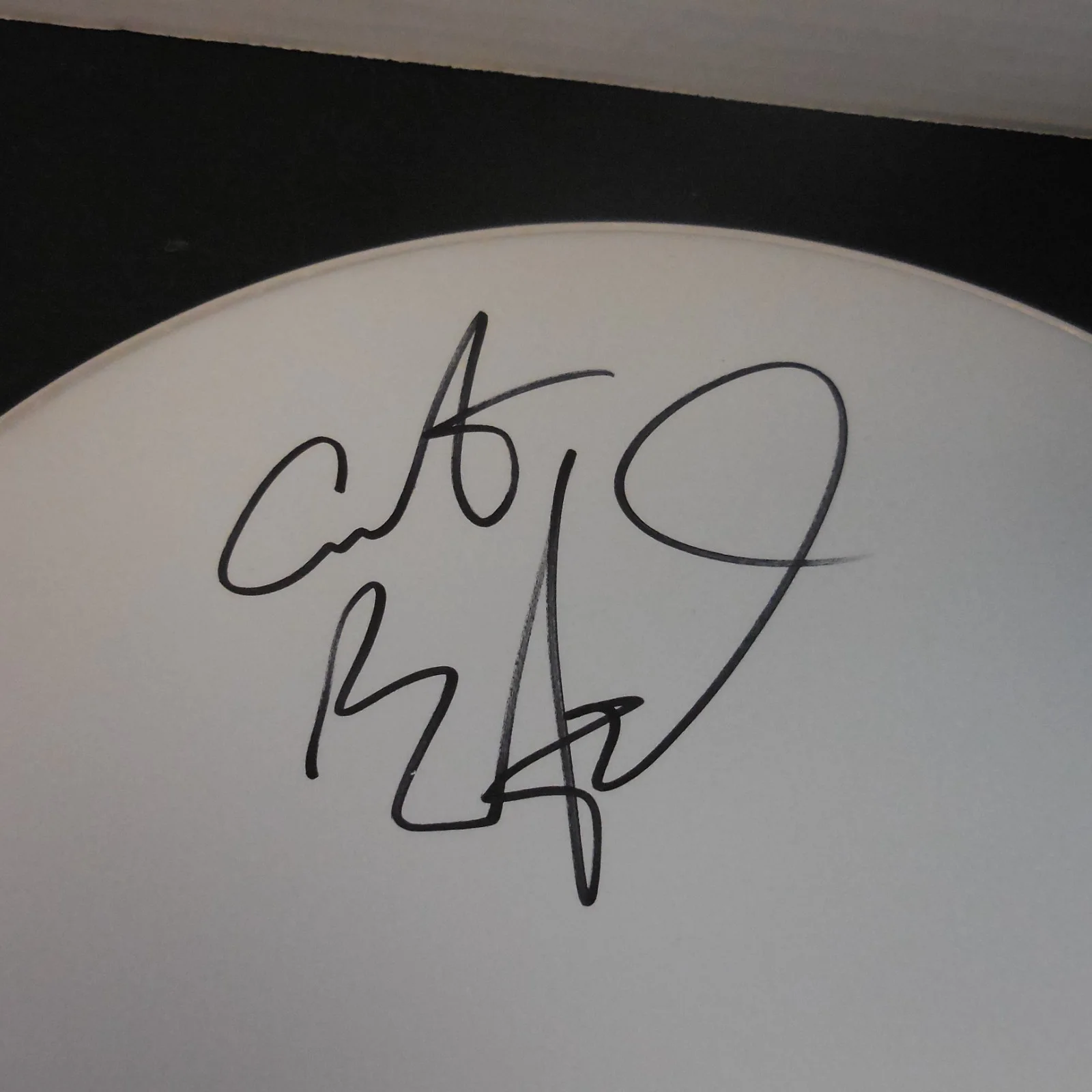 DAVE MATTHEWS & CARTER BEAUFORD SIGNED EVANS 12" DRUMHEAD D.M.B. JSA FULL LOA, image 3