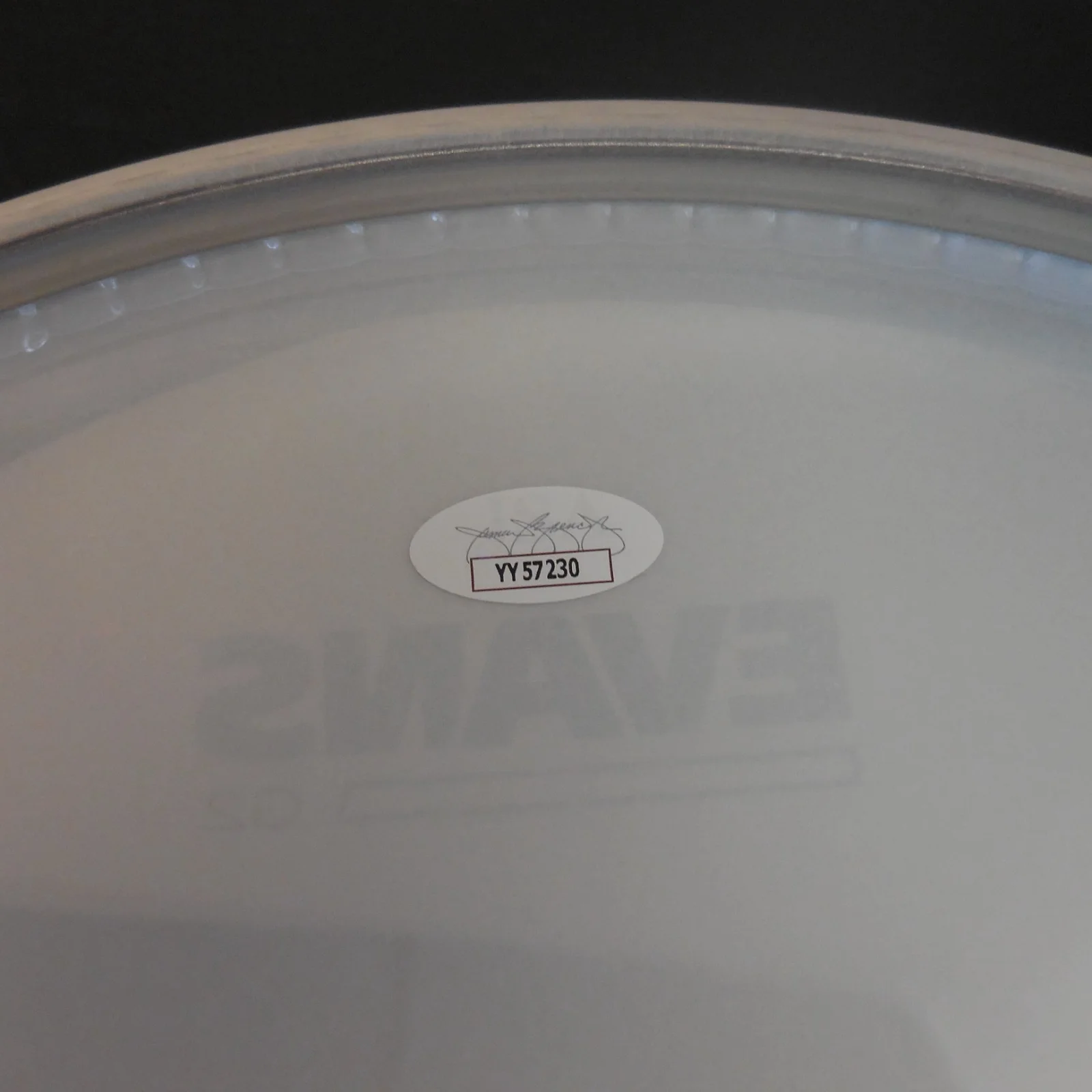 DAVE MATTHEWS & CARTER BEAUFORD SIGNED EVANS 12" DRUMHEAD D.M.B. JSA FULL LOA, image 5