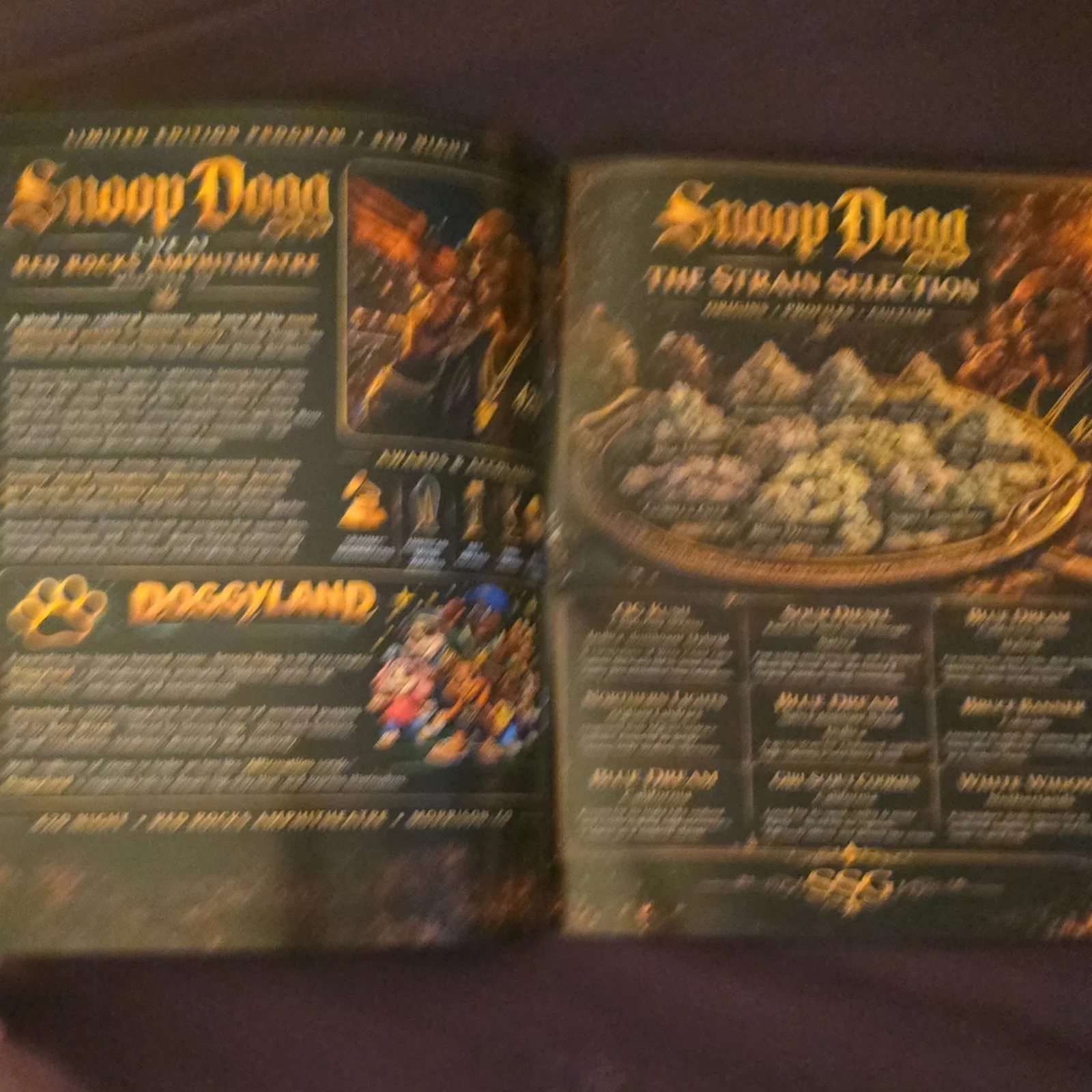 420 On The Rocks Red Rocks Amphitheatre Limited Edition Autographed Program, image 4