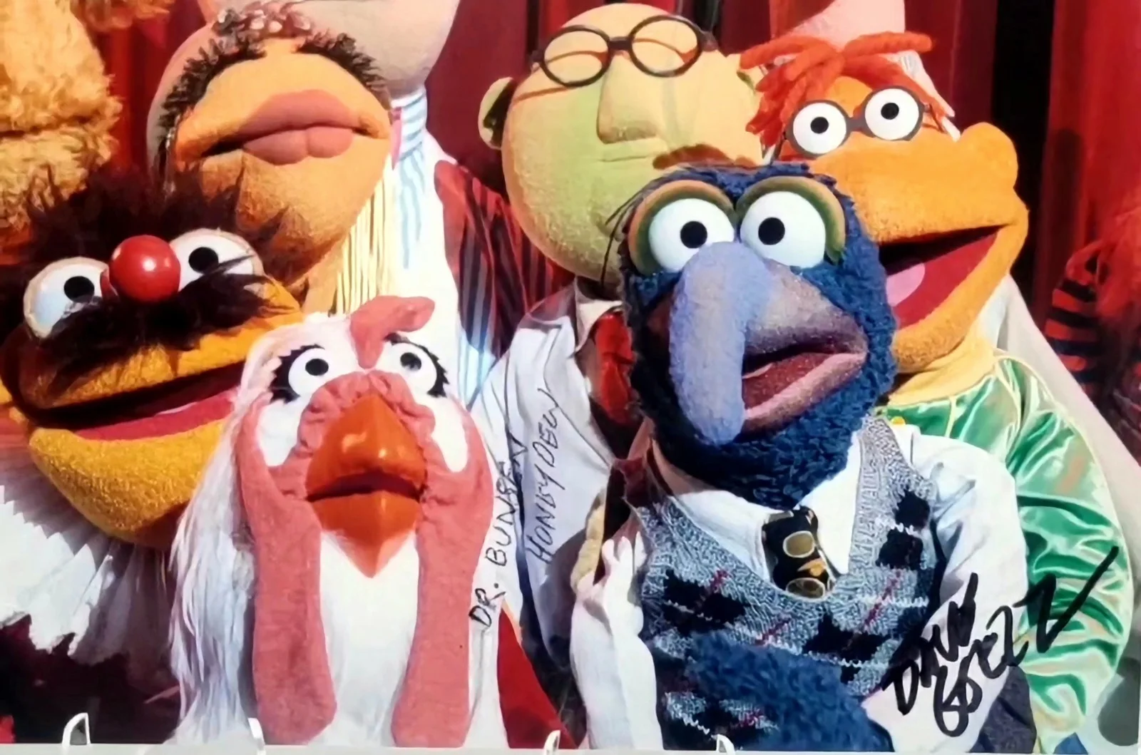 Dave Goelz — Dave Goelz Signed 8x10 Photo – Gonzo Muppets Autograph – JSA COA, изображение 3