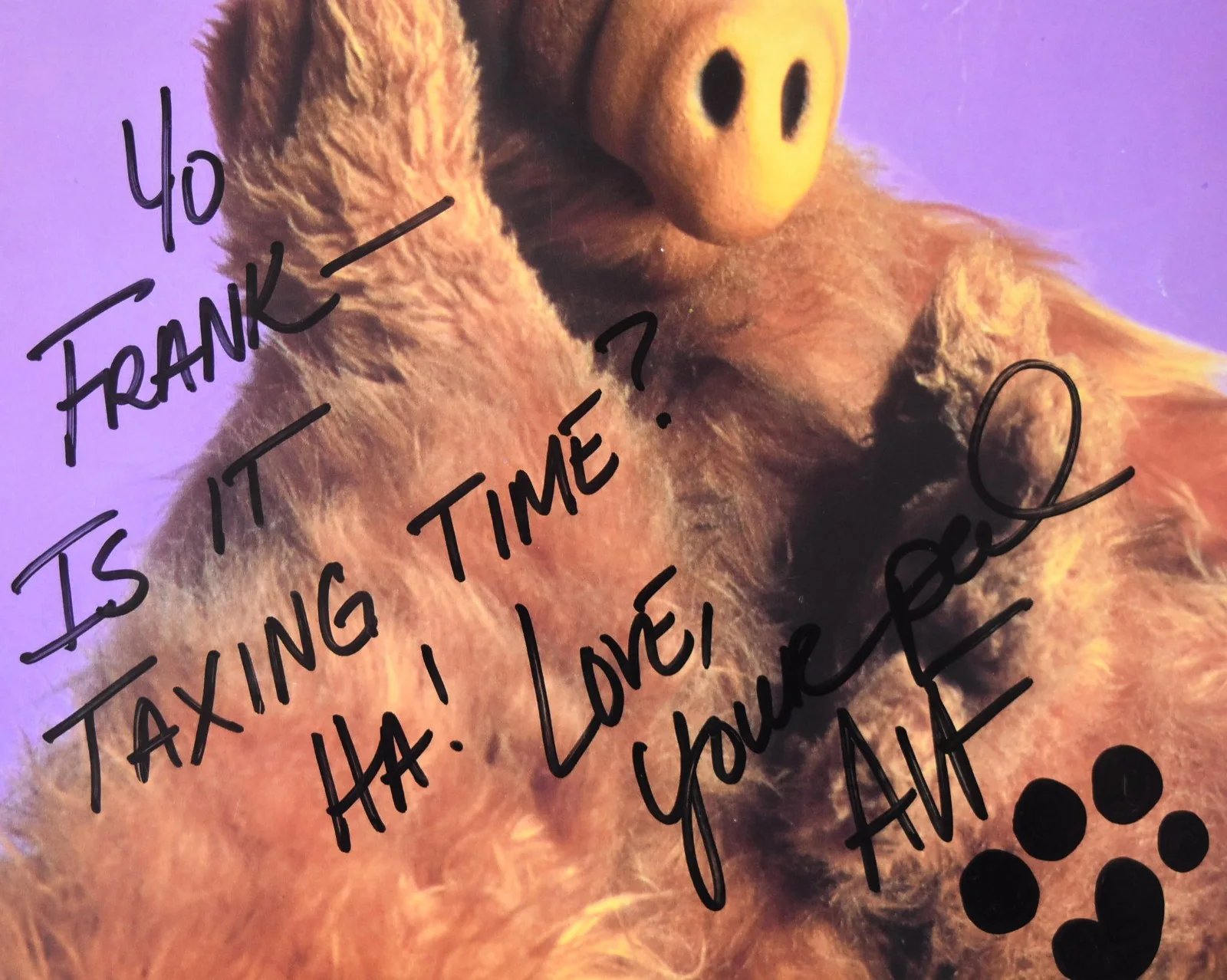 ALF Hand Signed Picture 8"X10", image 2