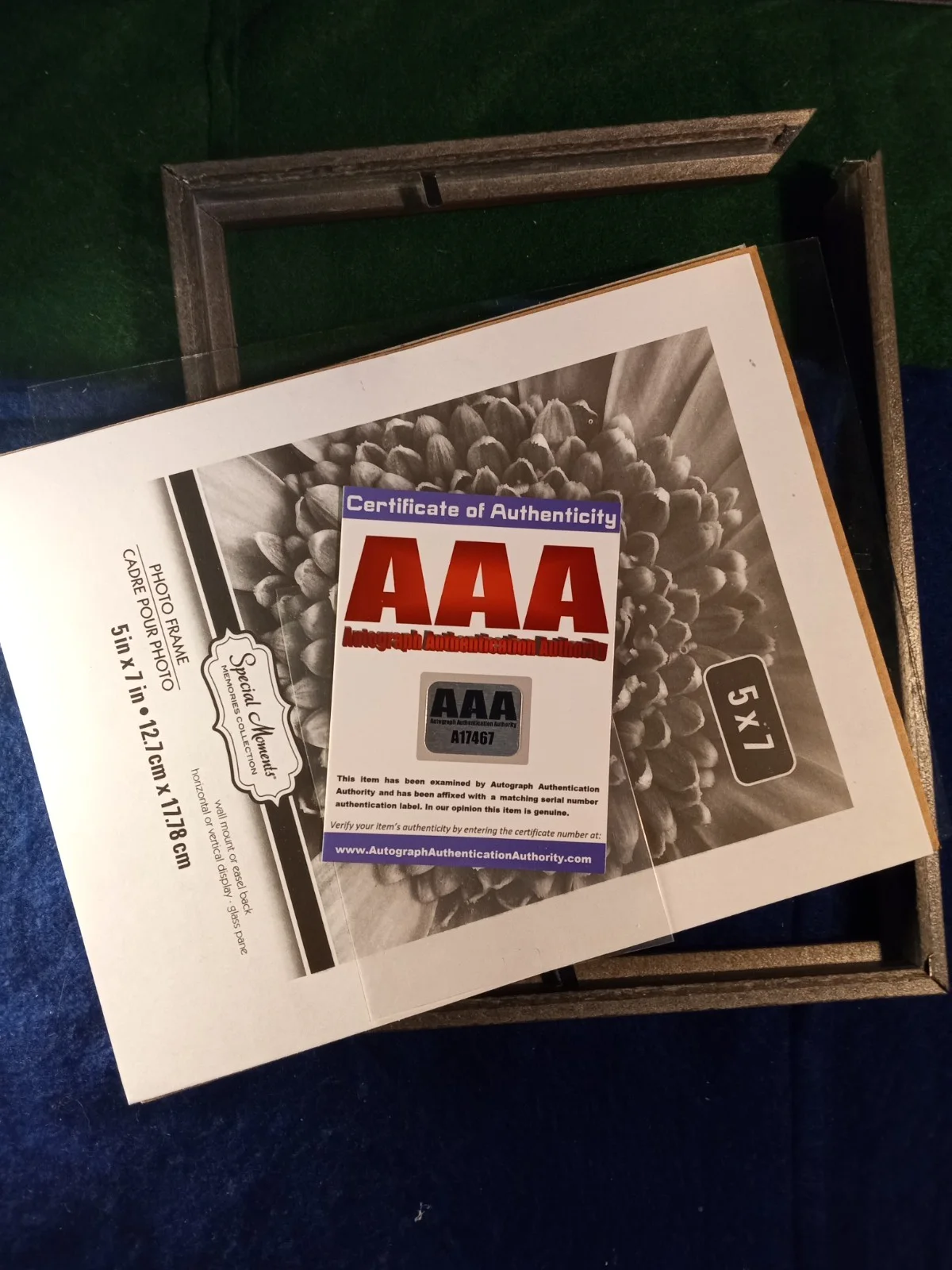 Vintage Katy Perry Signed Guitar Pickguard with COA by AAA Certification, image 4