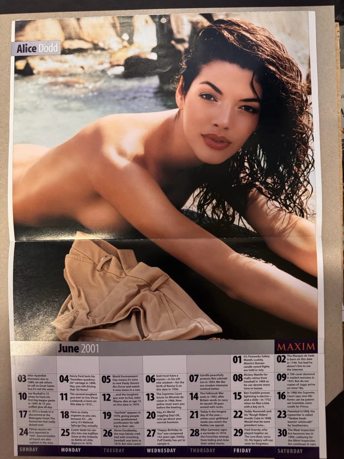 Shannon Elizabeth Signed Centerfold Calendar 2001 American Pie Alice Dodd On Bac, изображение 2