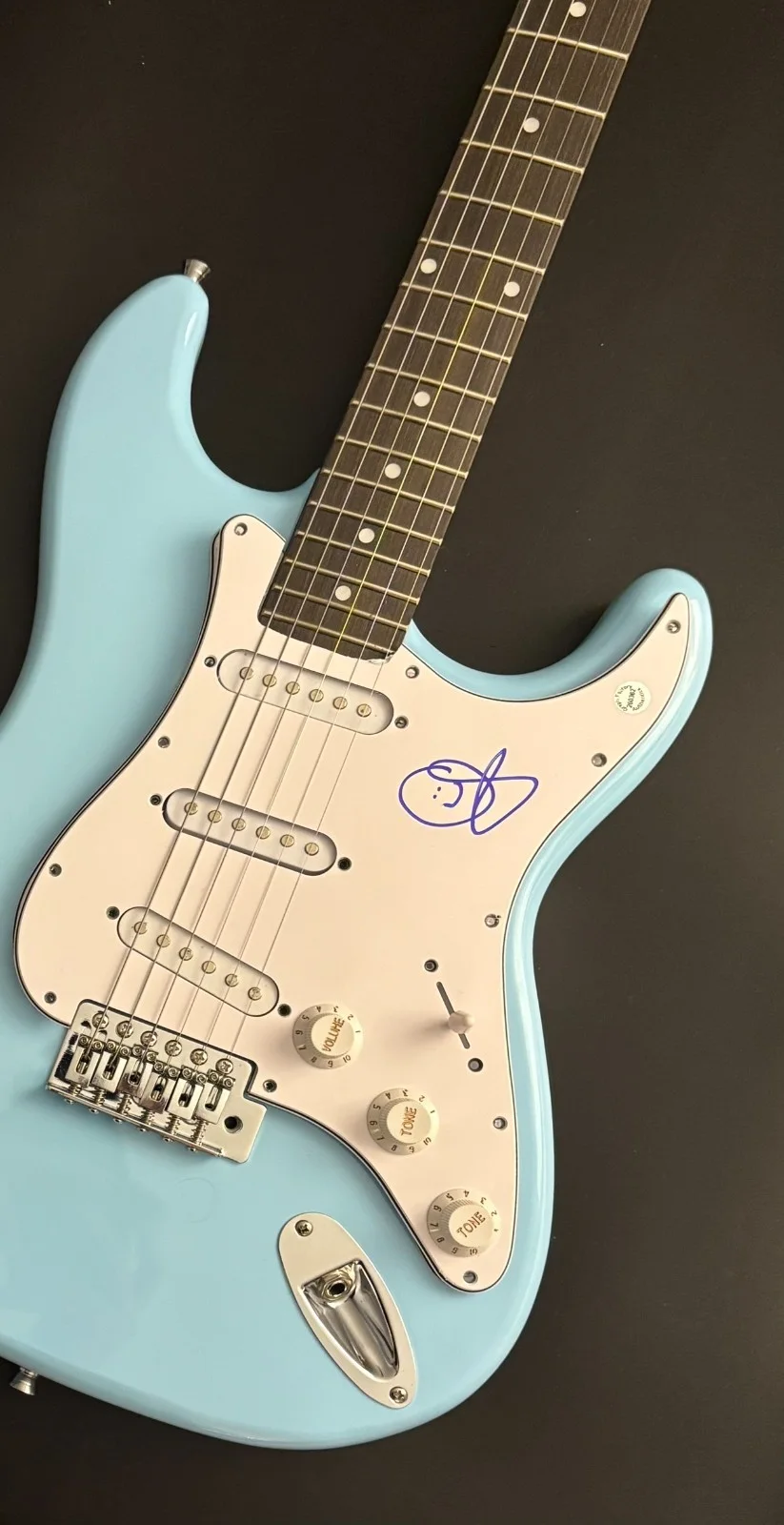GFA Living Colour Frontman * COREY GLOVER * Signed Electric Guitar PROOF COA, image 4
