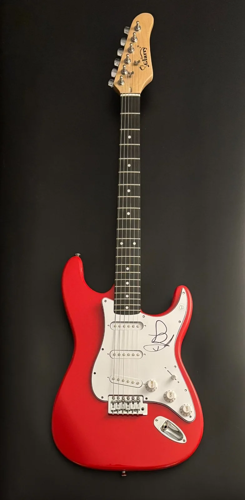 GFA Fitz and the Tantrums * MICHAEL FITZPATRICK * Signed Electric Guitar COA, изображение 2