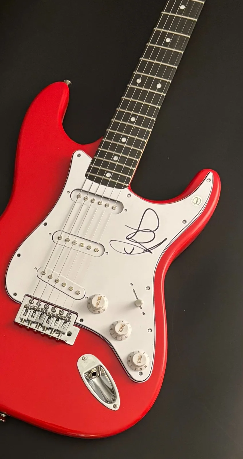 GFA Fitz and the Tantrums * MICHAEL FITZPATRICK * Signed Electric Guitar COA, изображение 3