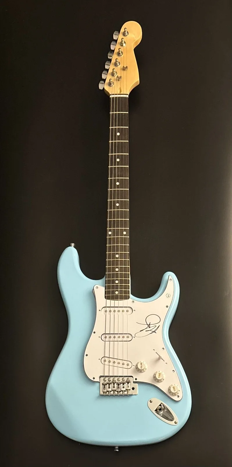 GFA Fitz and the Tantrums * MICHAEL FITZPATRICK * Signed Electric Guitar COA, изображение 2