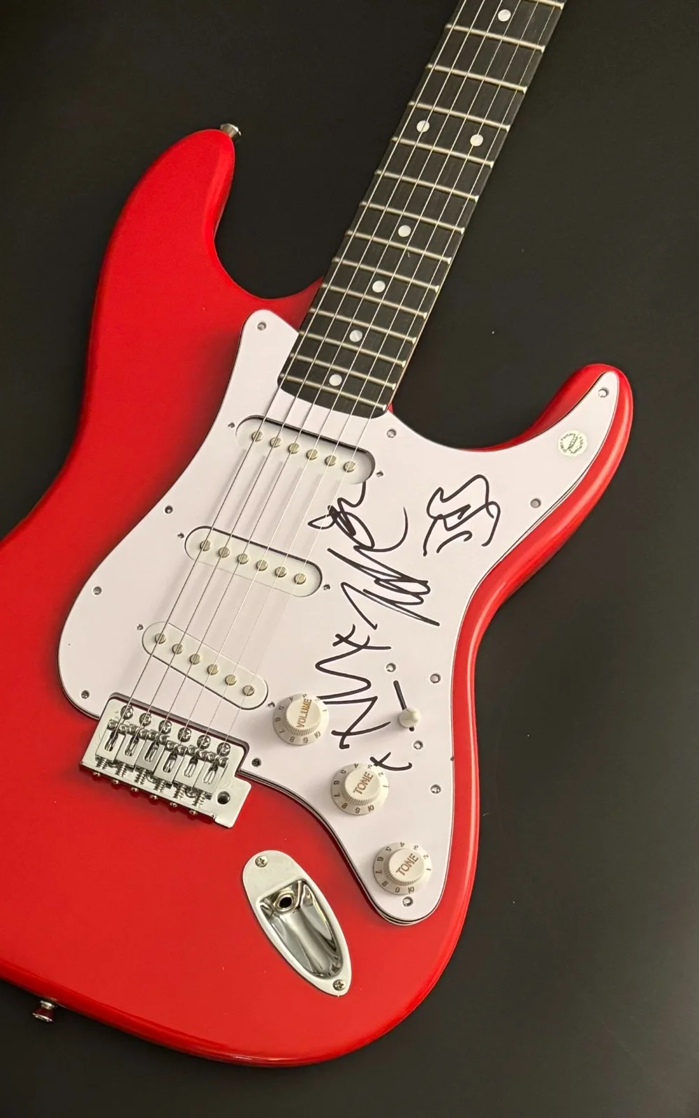 GFA Tim McIlrath x4 Band * RISE AGAINST * Signed Electric Guitar PROOF COA, image 2