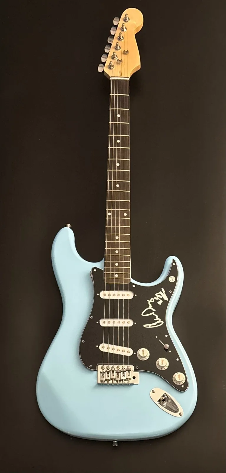 GFA Blues Guitarist * ERIC RAW DAWG GALES * Signed Electric Guitar PROOF COA, image 2