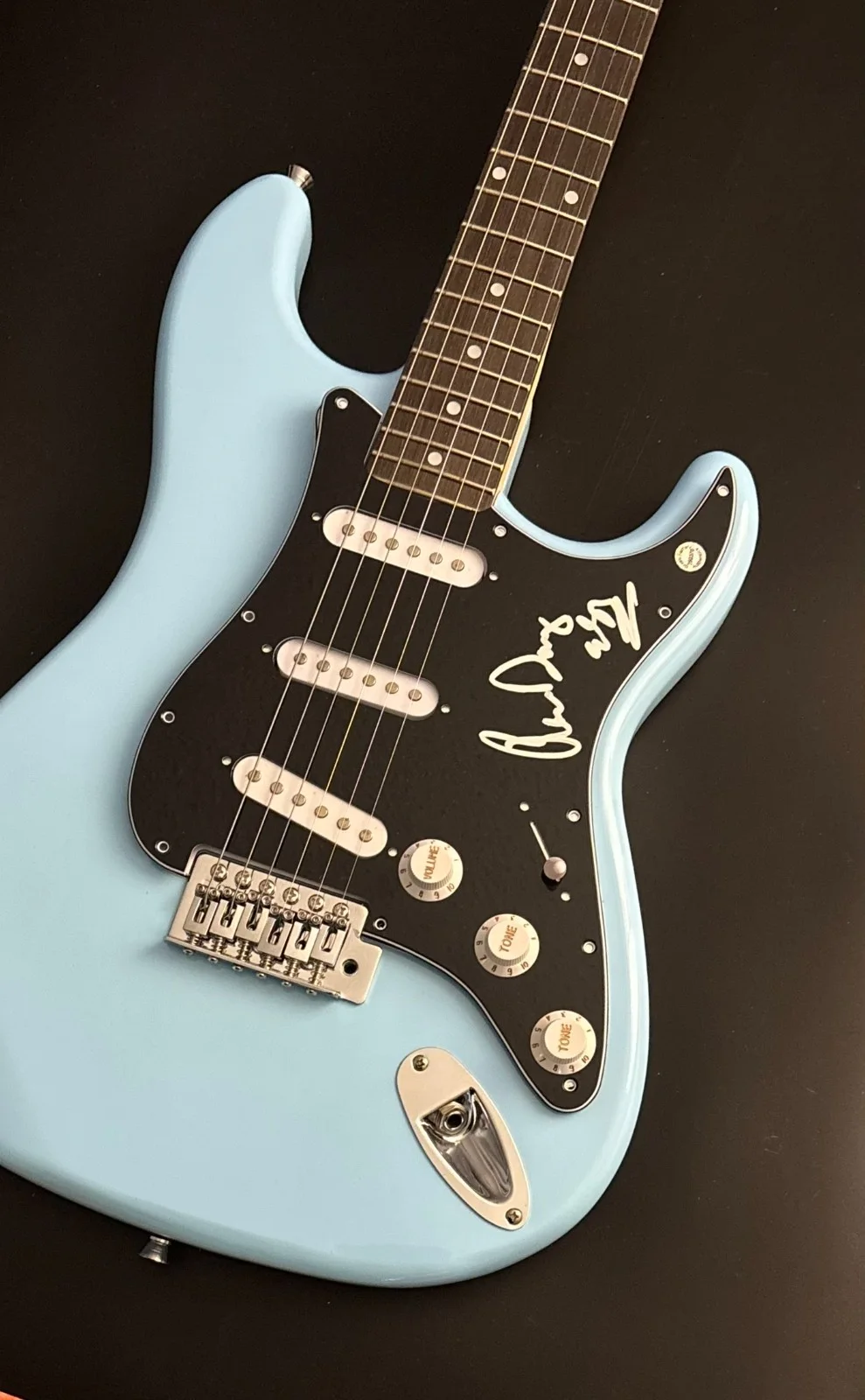 GFA Blues Guitarist * ERIC RAW DAWG GALES * Signed Electric Guitar PROOF COA, image 5