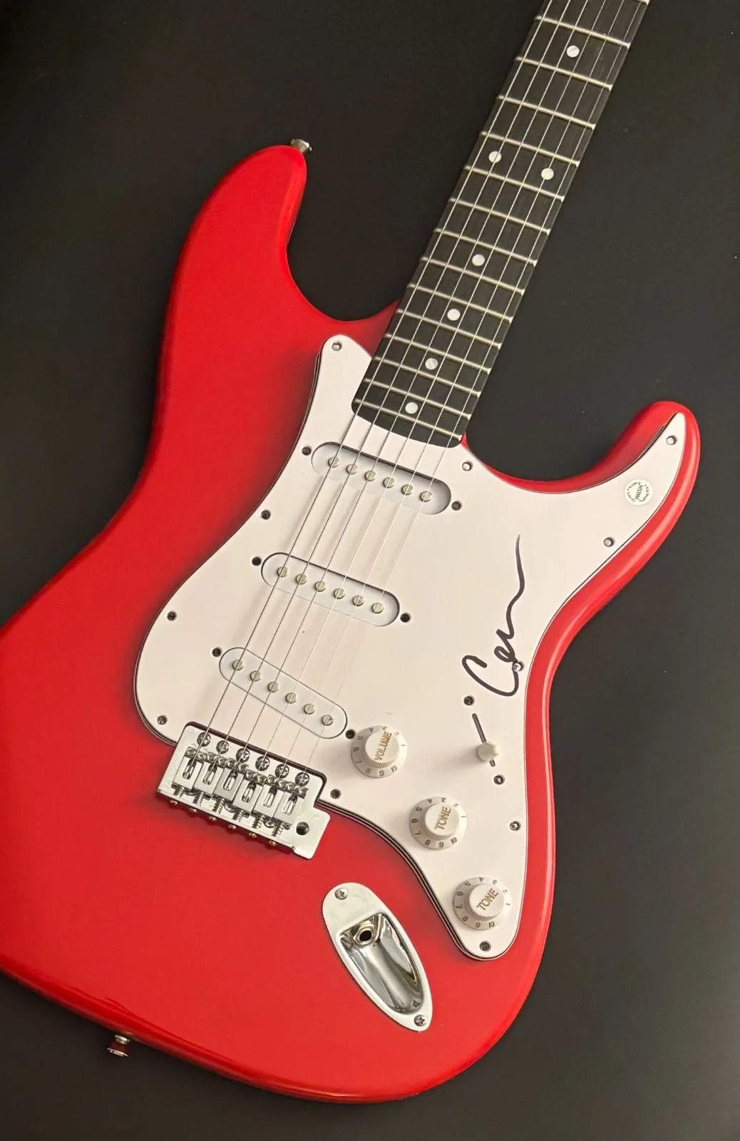 GFA Wilson Phillips Star * CARNIE WILSON * Signed Electric Guitar PROOF COA, изображение 5