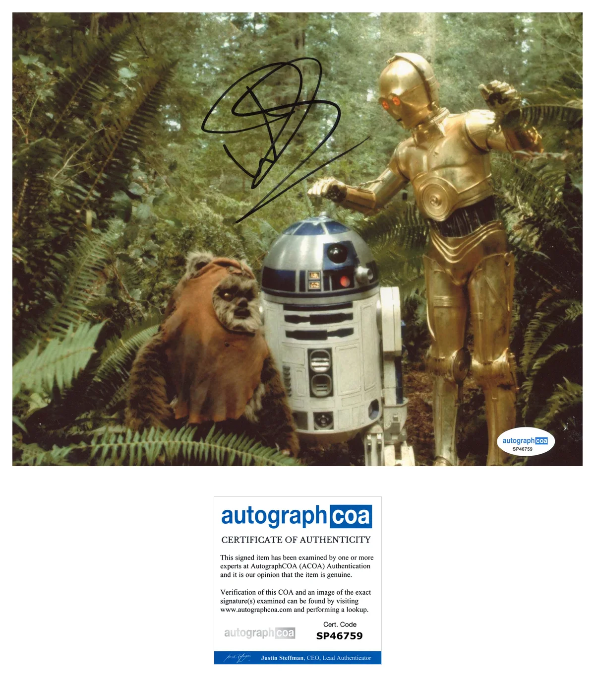 Warwick Davis Star Wars Autographed Signed 8x10 Photo ACOA, изображение 2